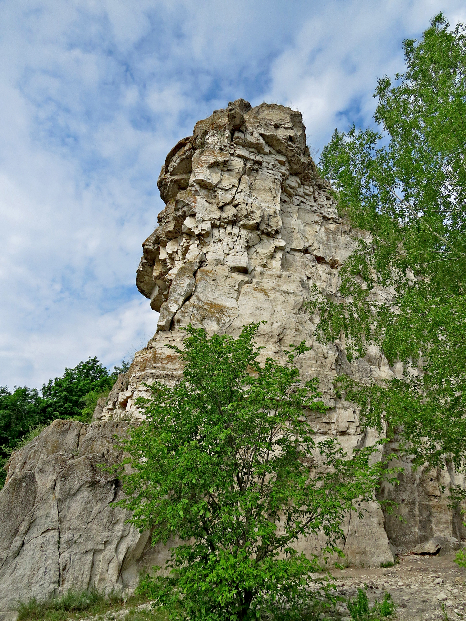 Гора верблюд Самарская область