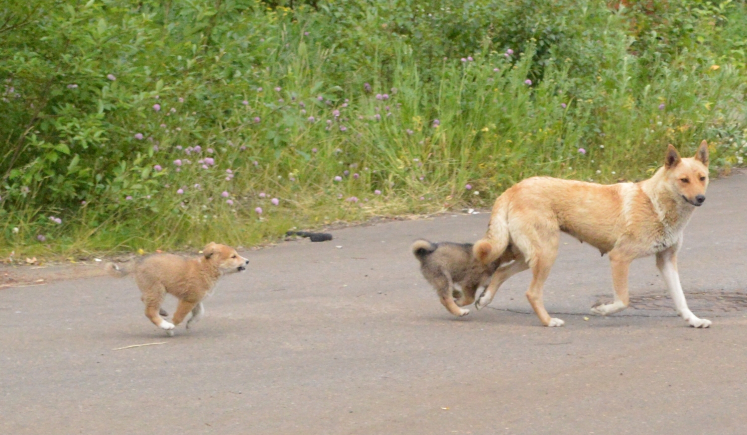 поколение бездомных.