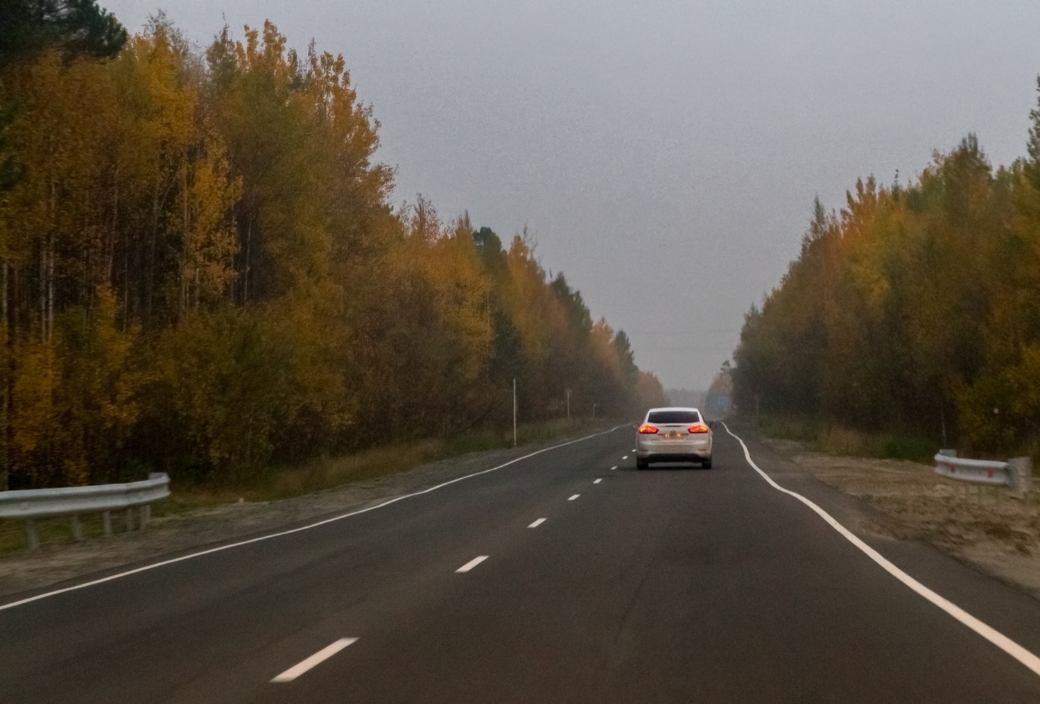 В лесу тоже есть ПДД