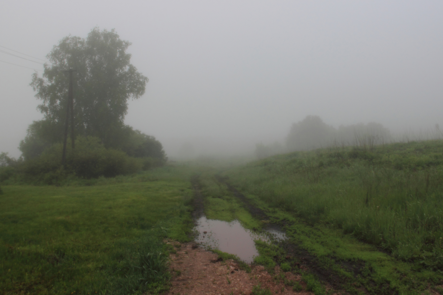 Дорога в туман