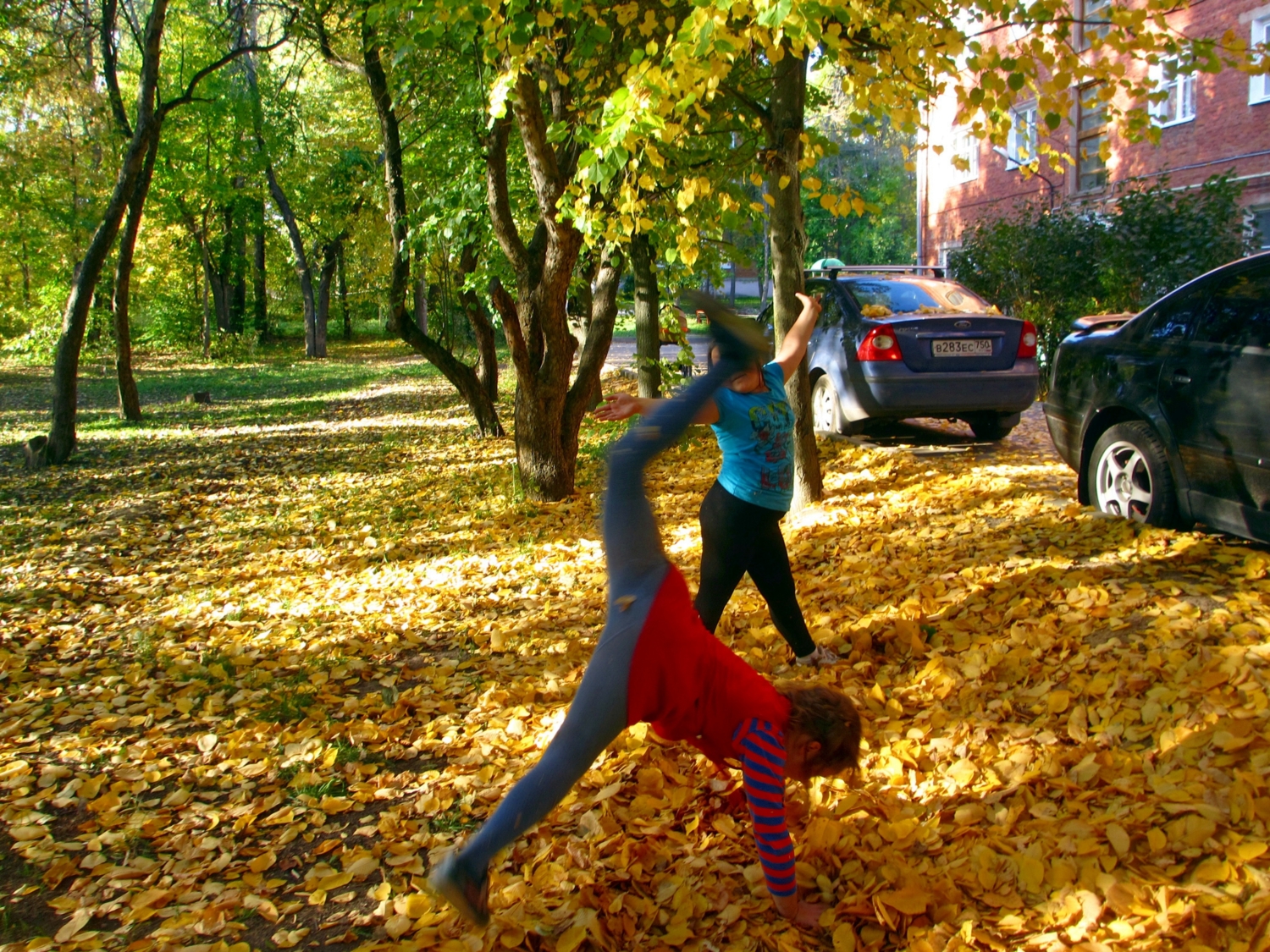 Осенняя акробатика