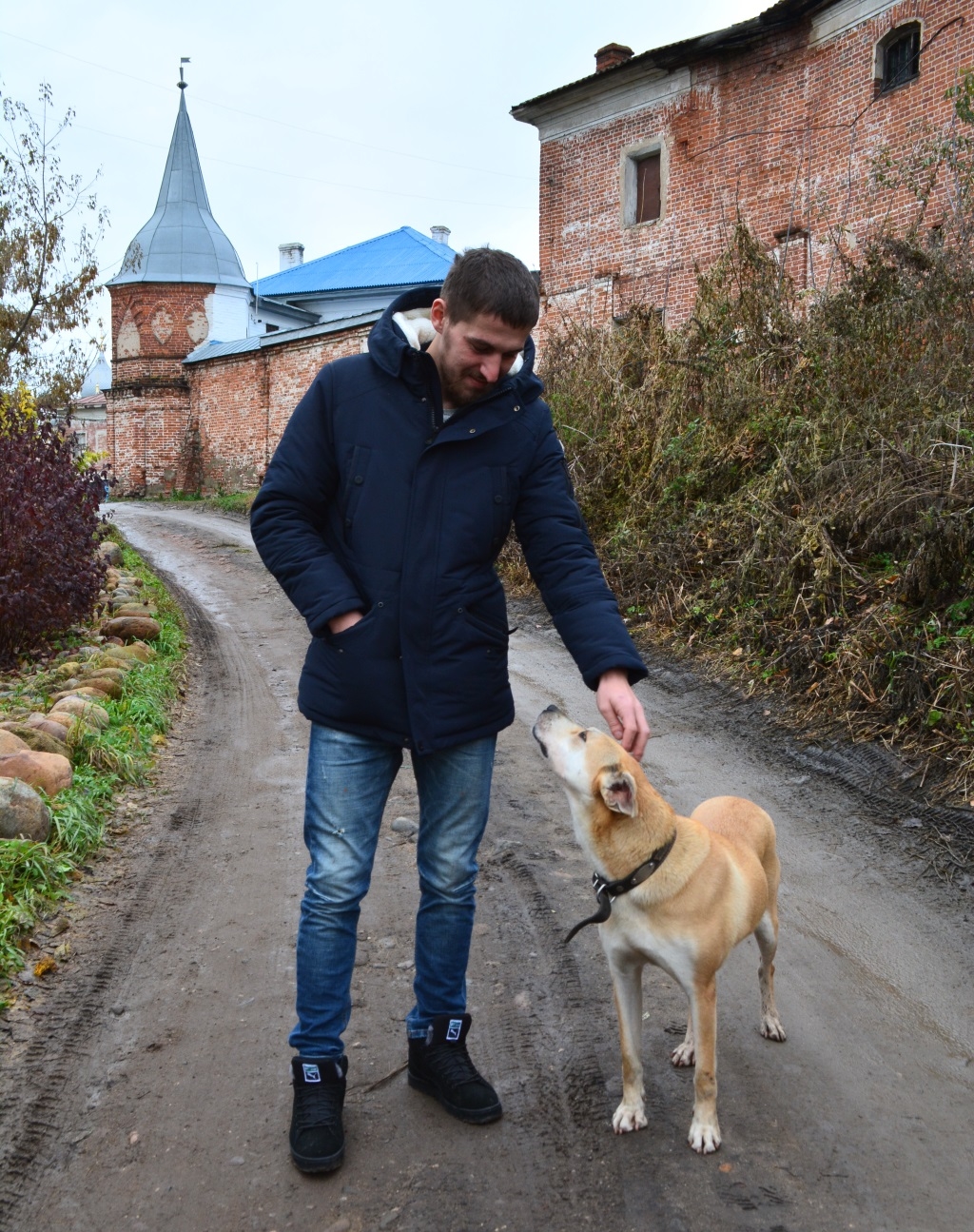 Доброе слово и собаке приятно