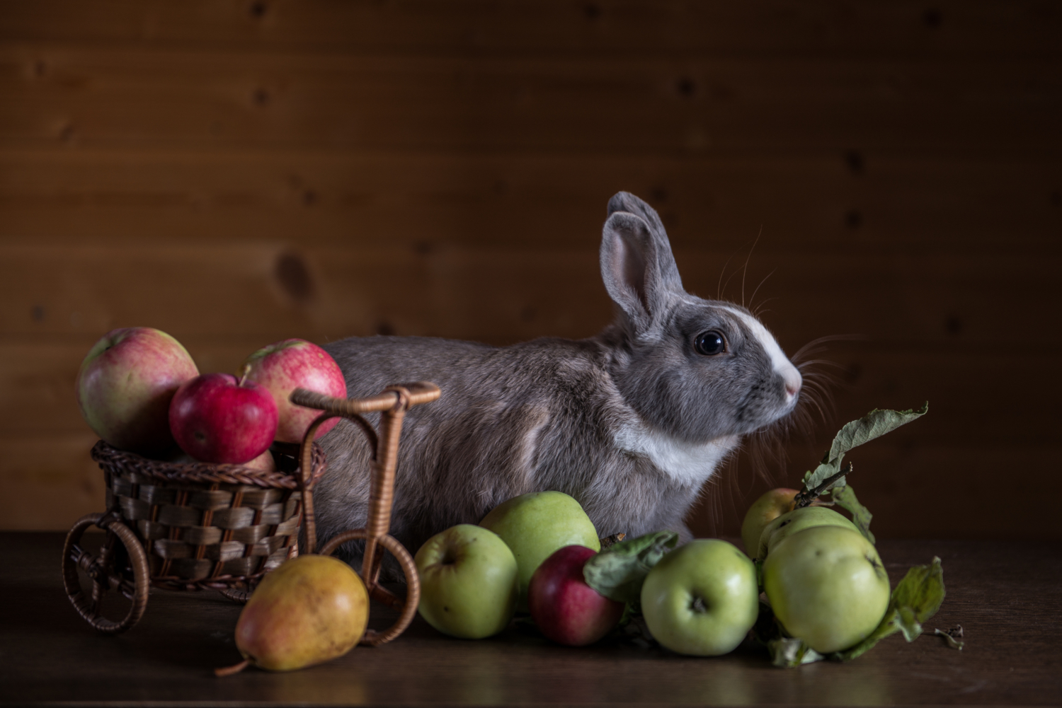 Кролик в яблоках