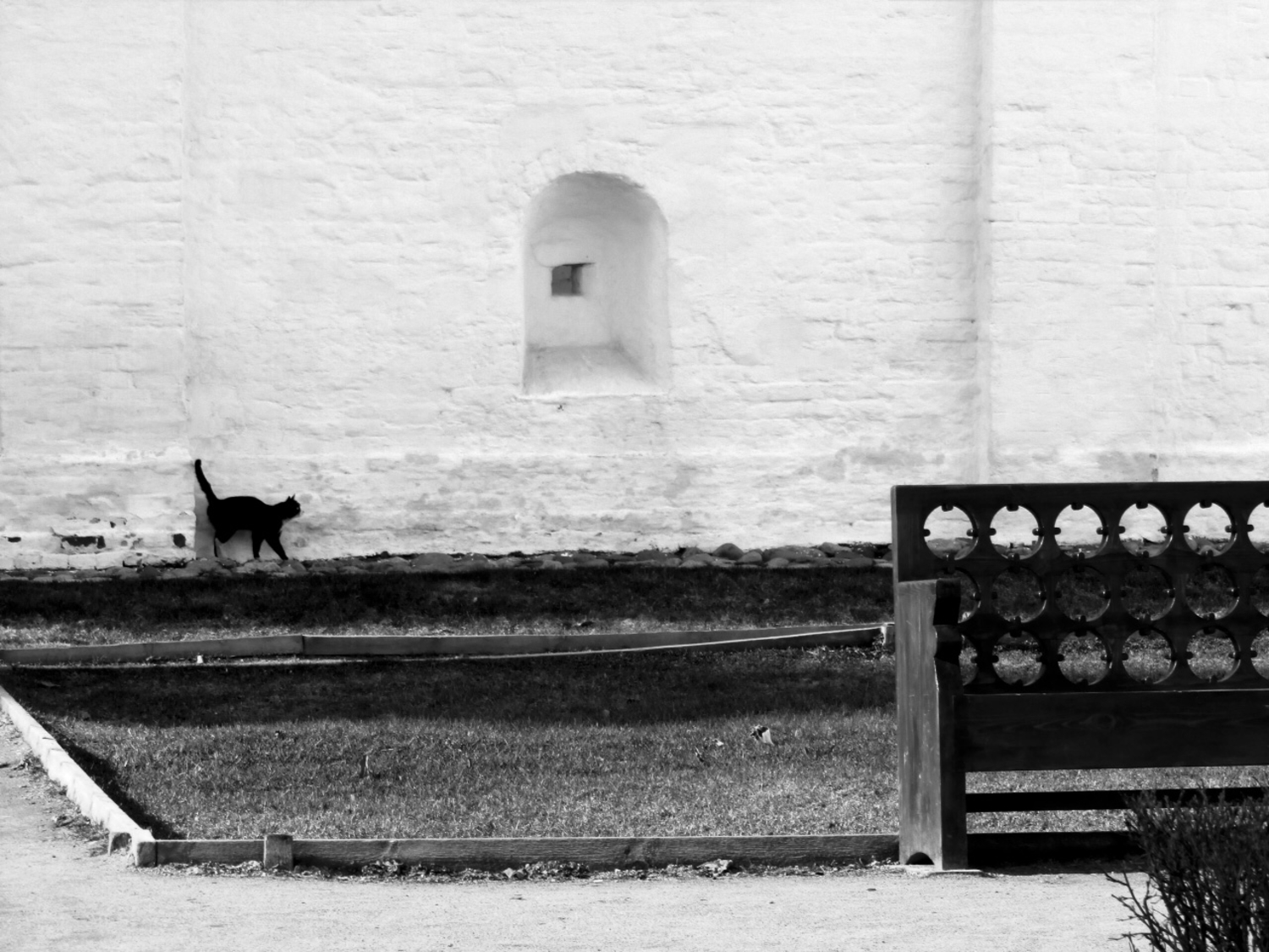 Черный кот на белой стене