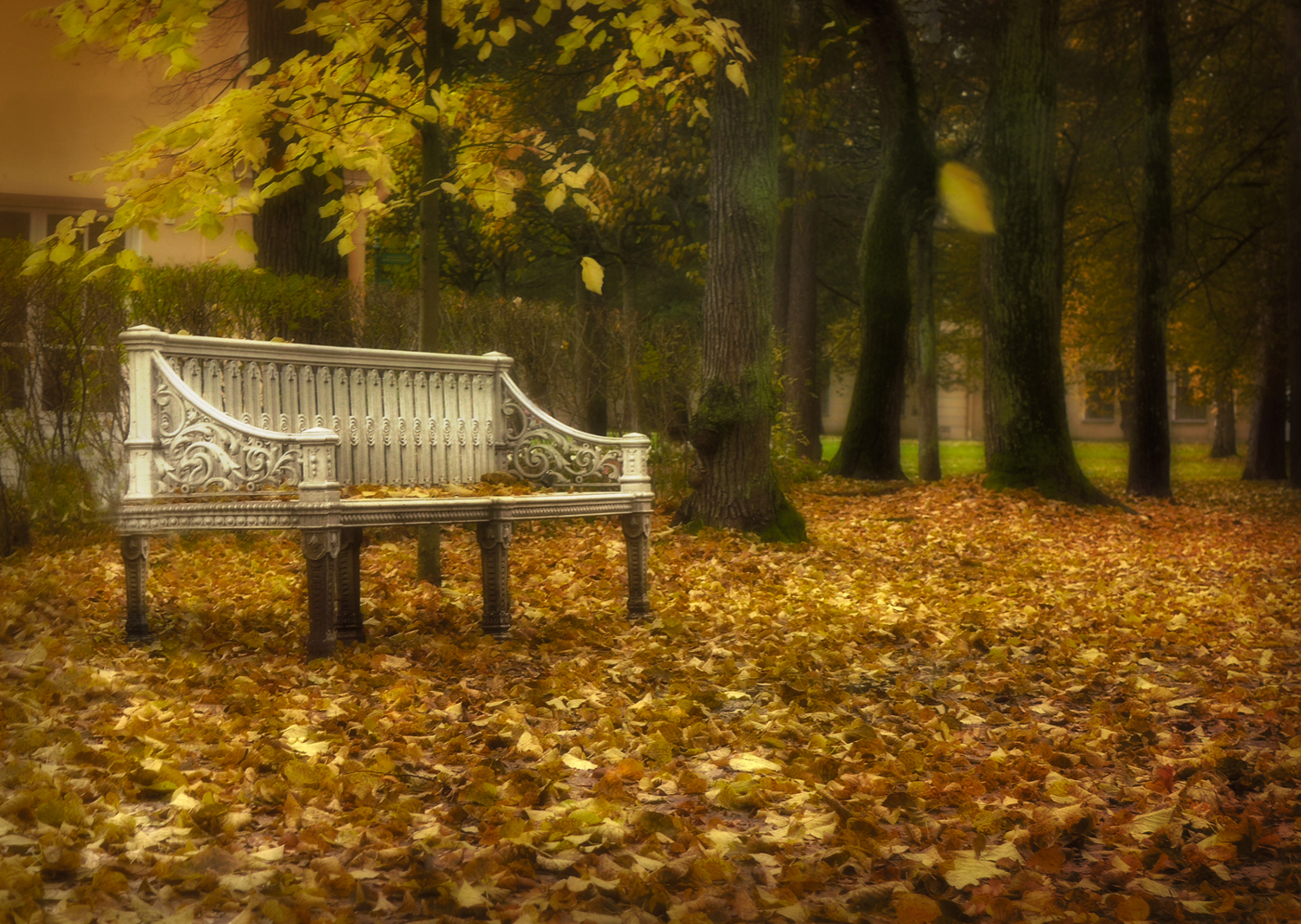 Села осень на скамейку
