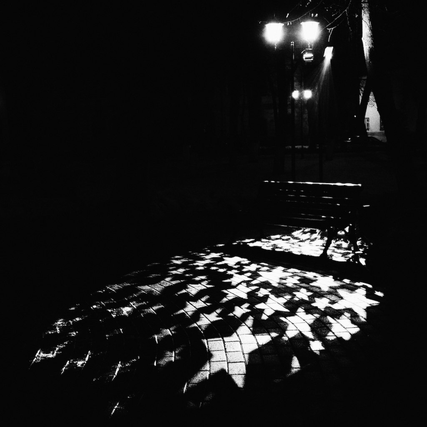 Ночь, улица, фонарь.