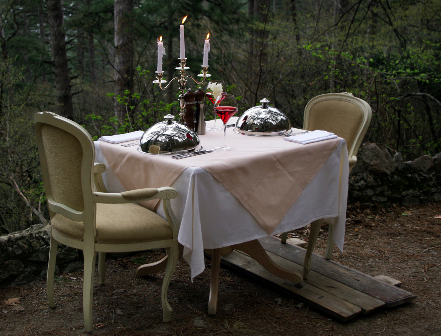 Всё готово для романтического ужина в лесу, но...