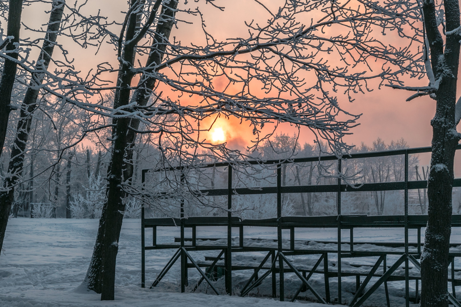 Морозное утро