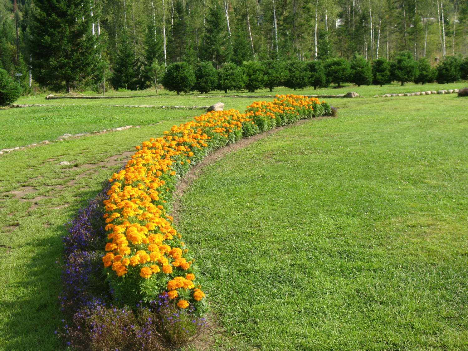 Дорожка в лес