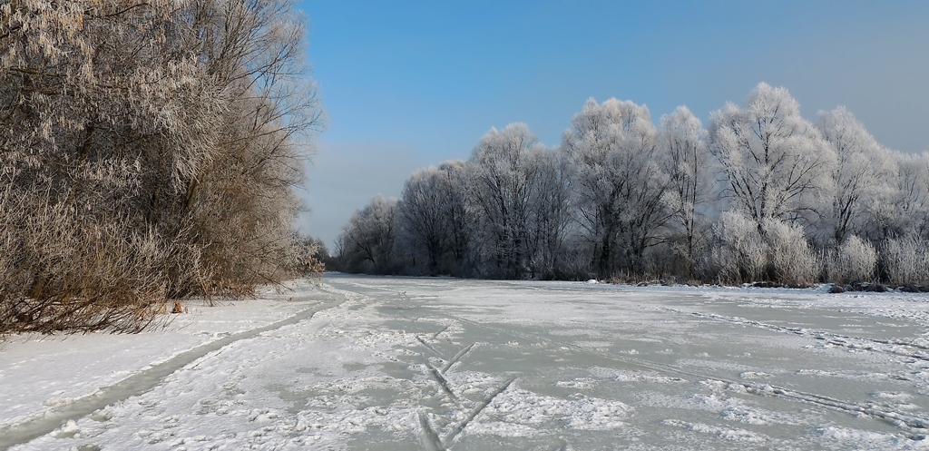 Панорама зимы