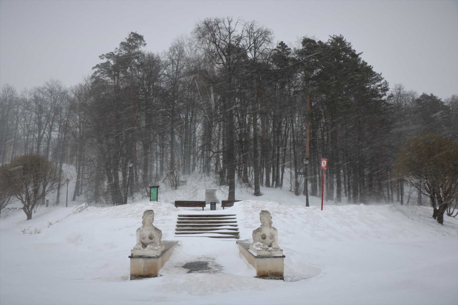 Прогулка в парке