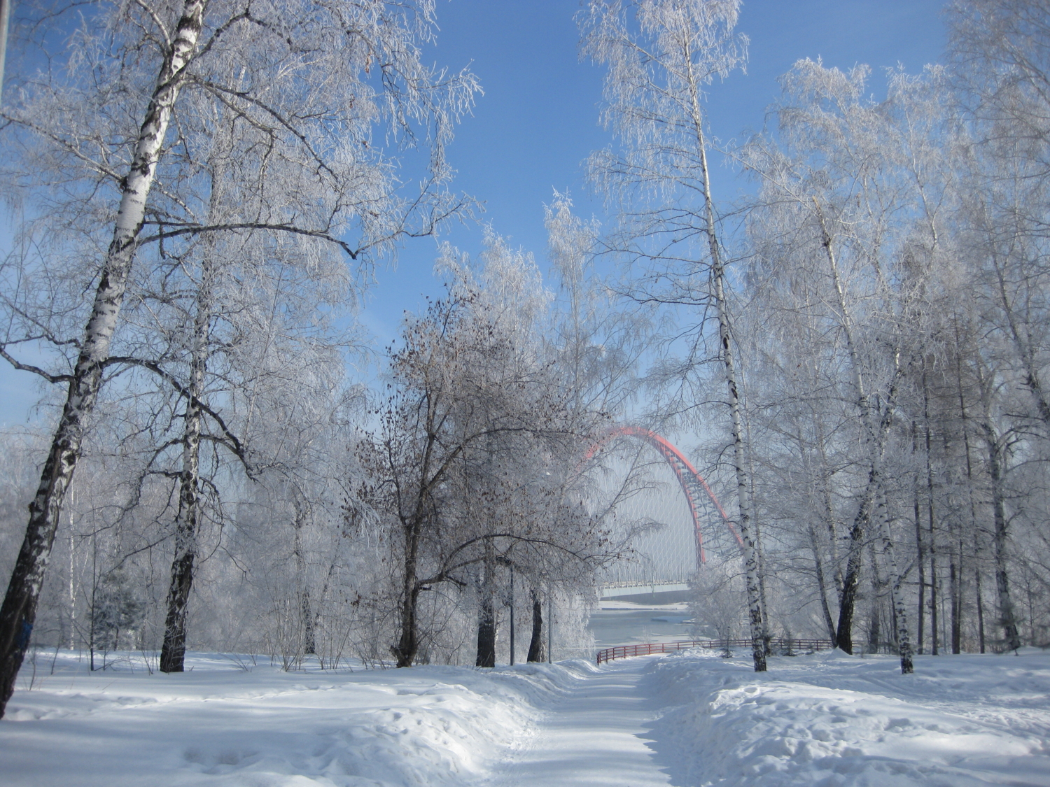 В зимнем парке