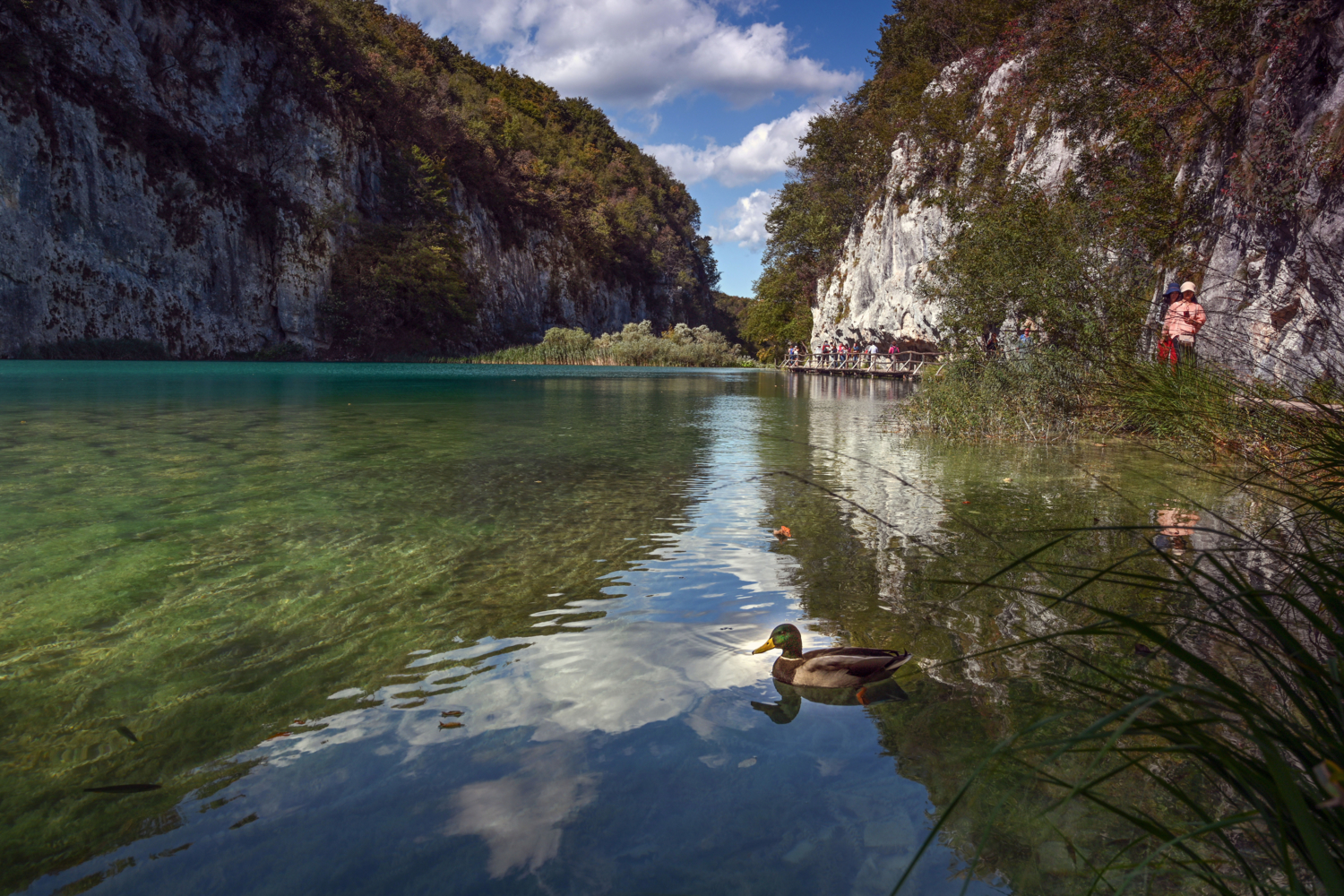 Национальный парк Словении.