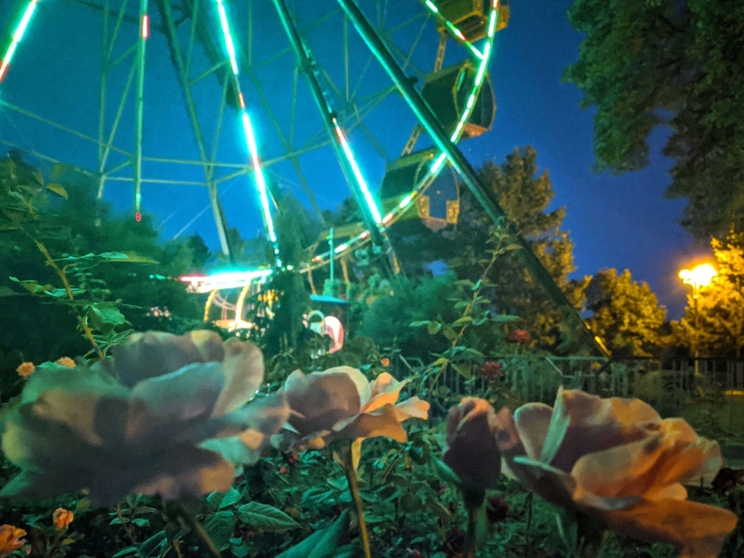 Вечерний парк в городе роз.