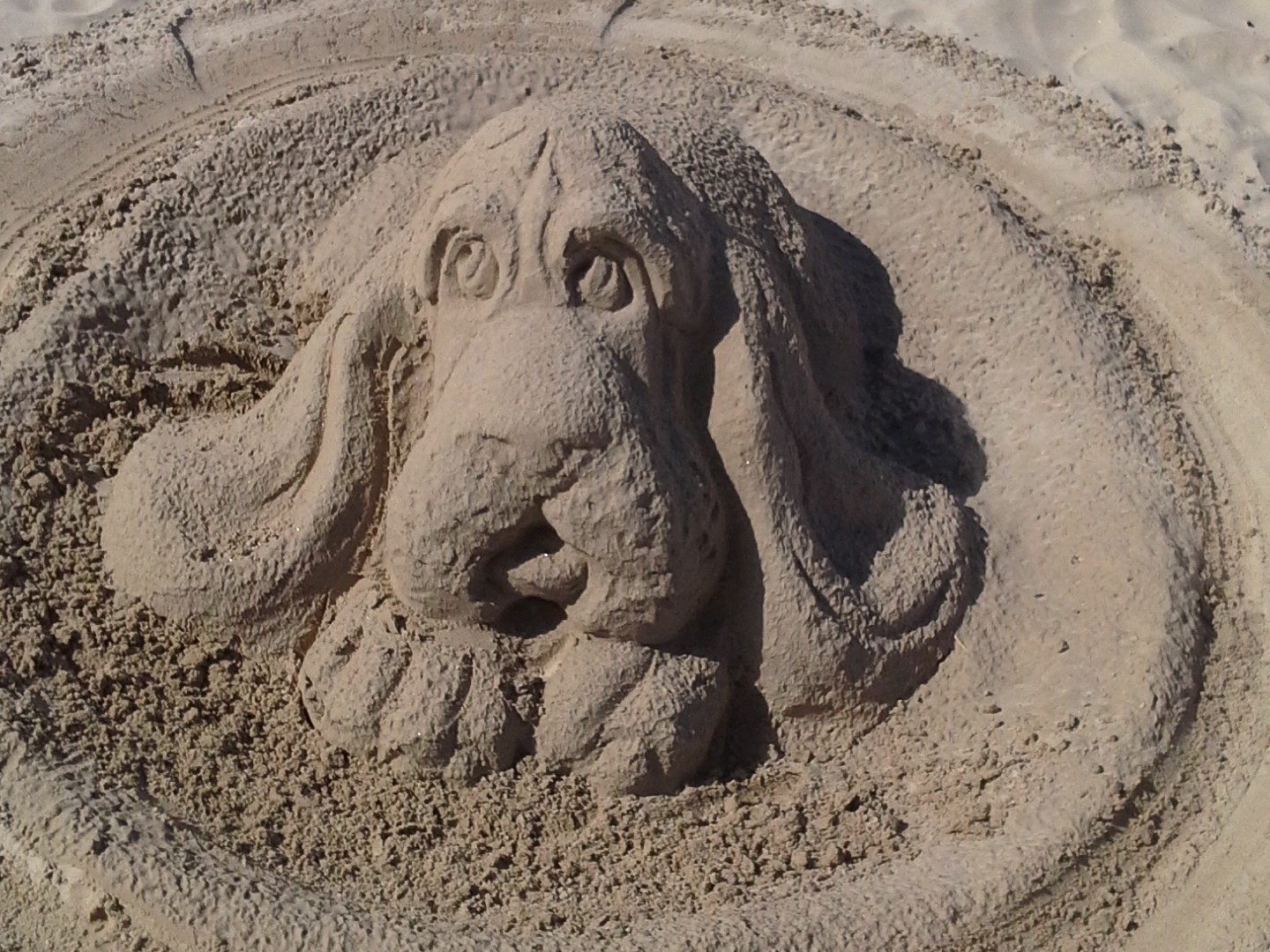 Песочная собачка
