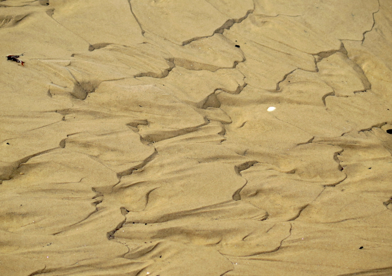 Песок после отлива.