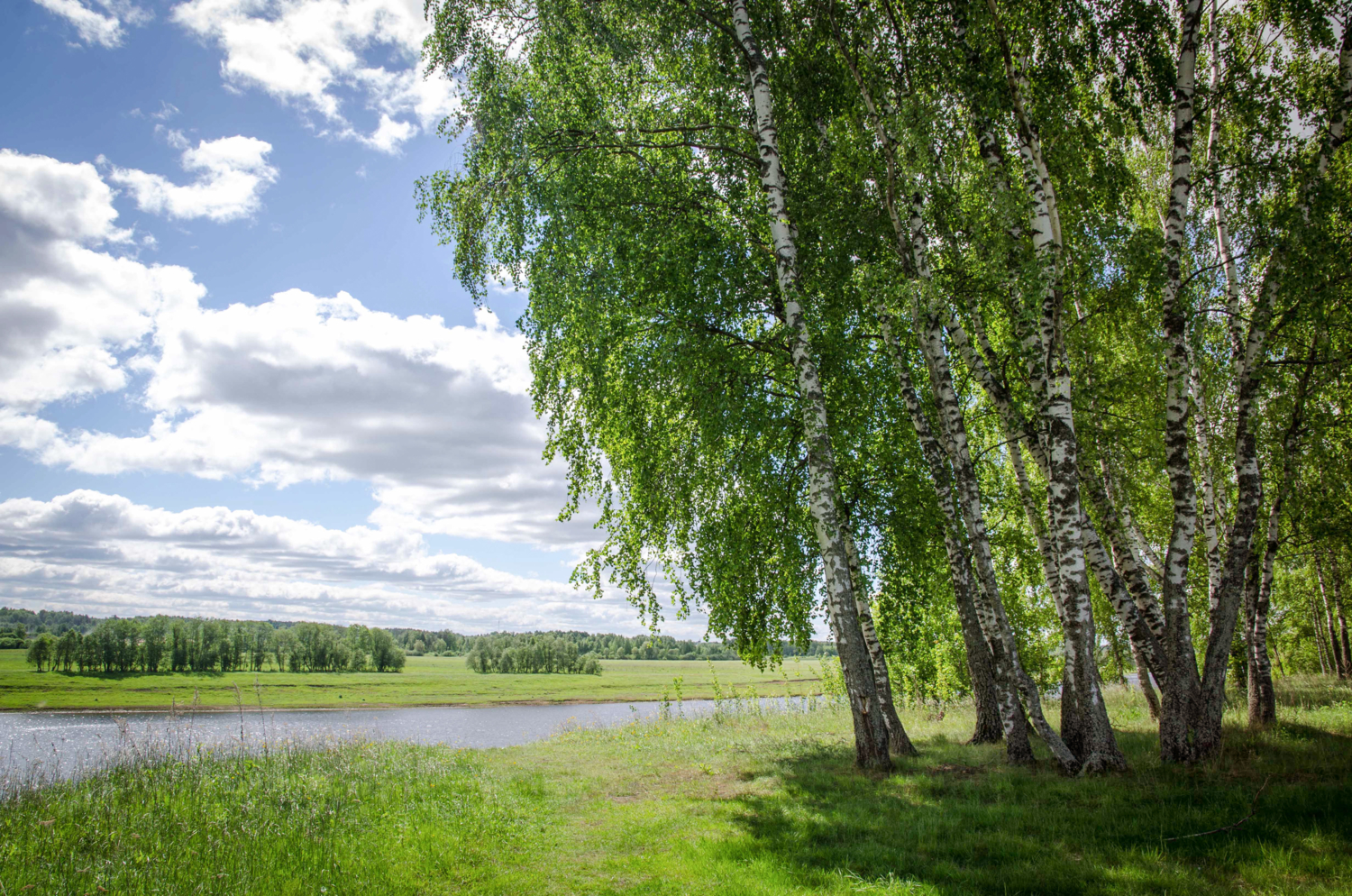 На берегу реки