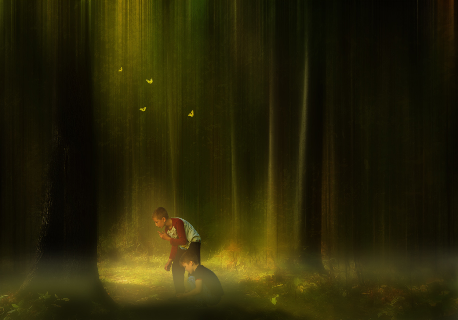 В волшебном лесу