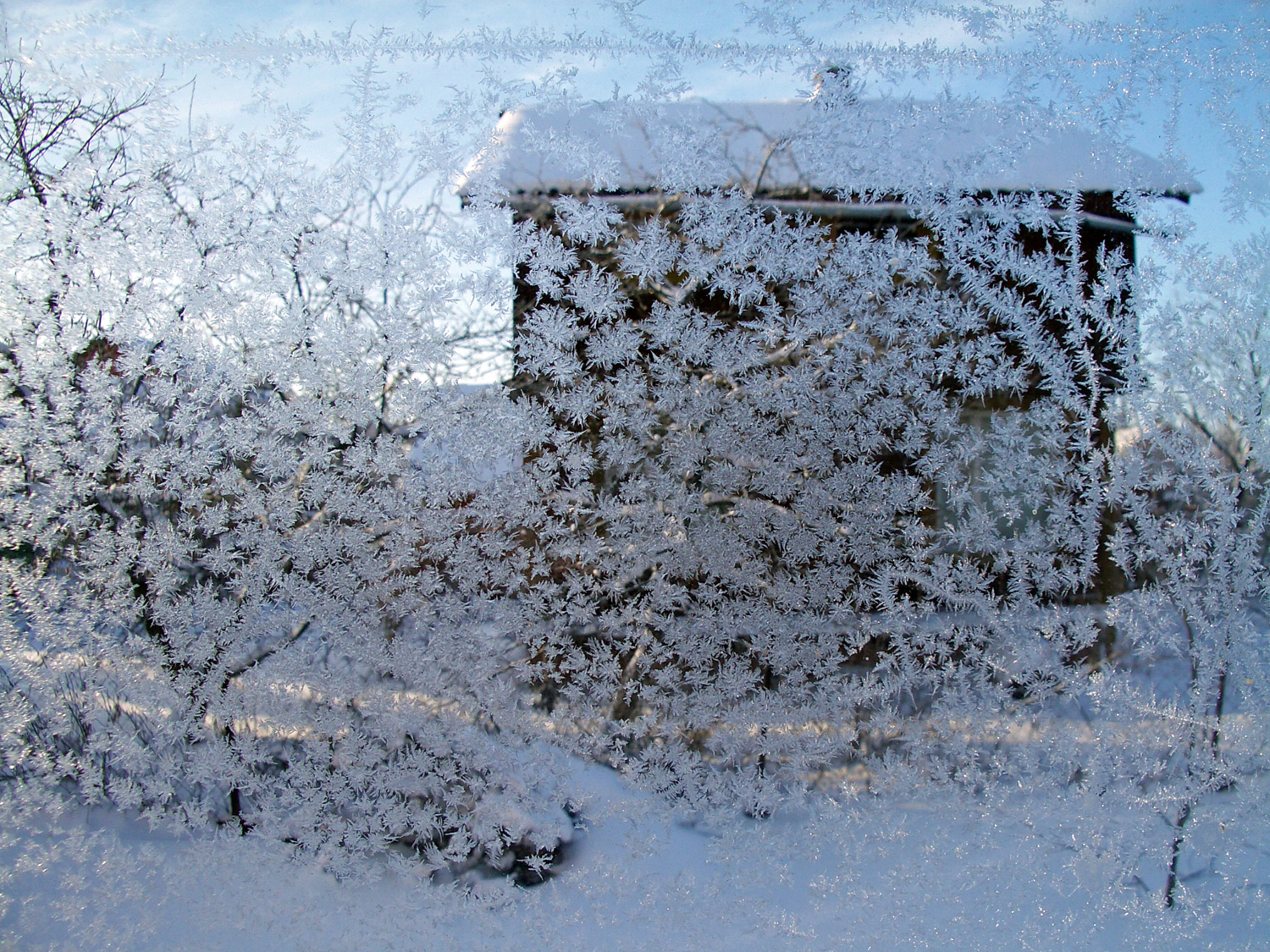 Мороз занавесил окно
