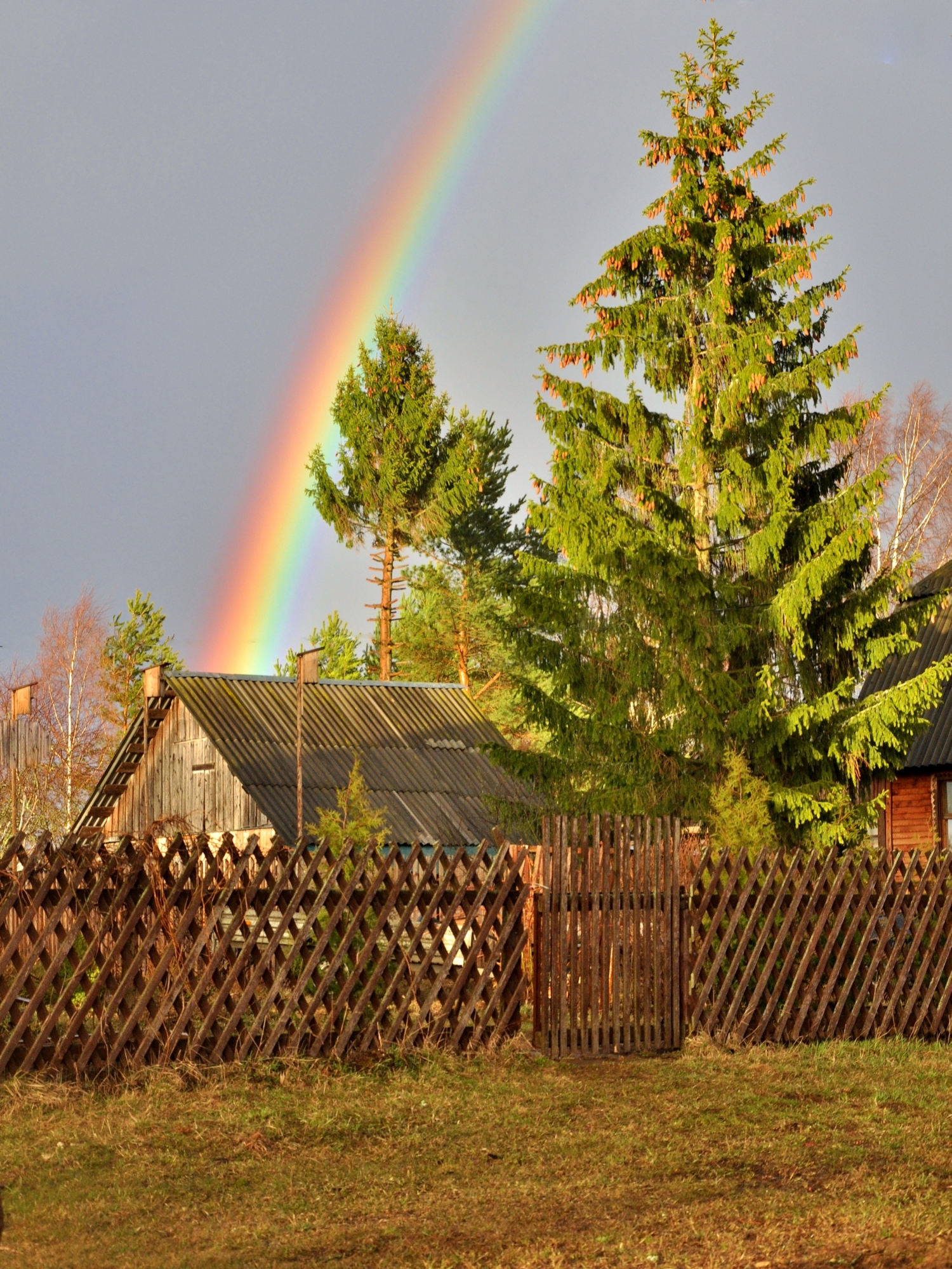 У соседа за забором радуга живёт!