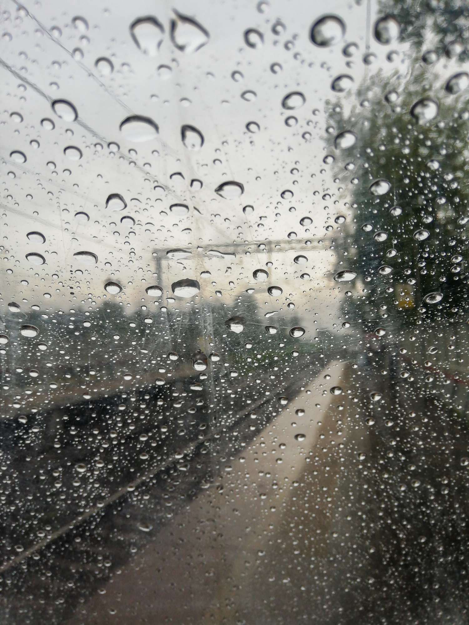 В дорогу под дождем