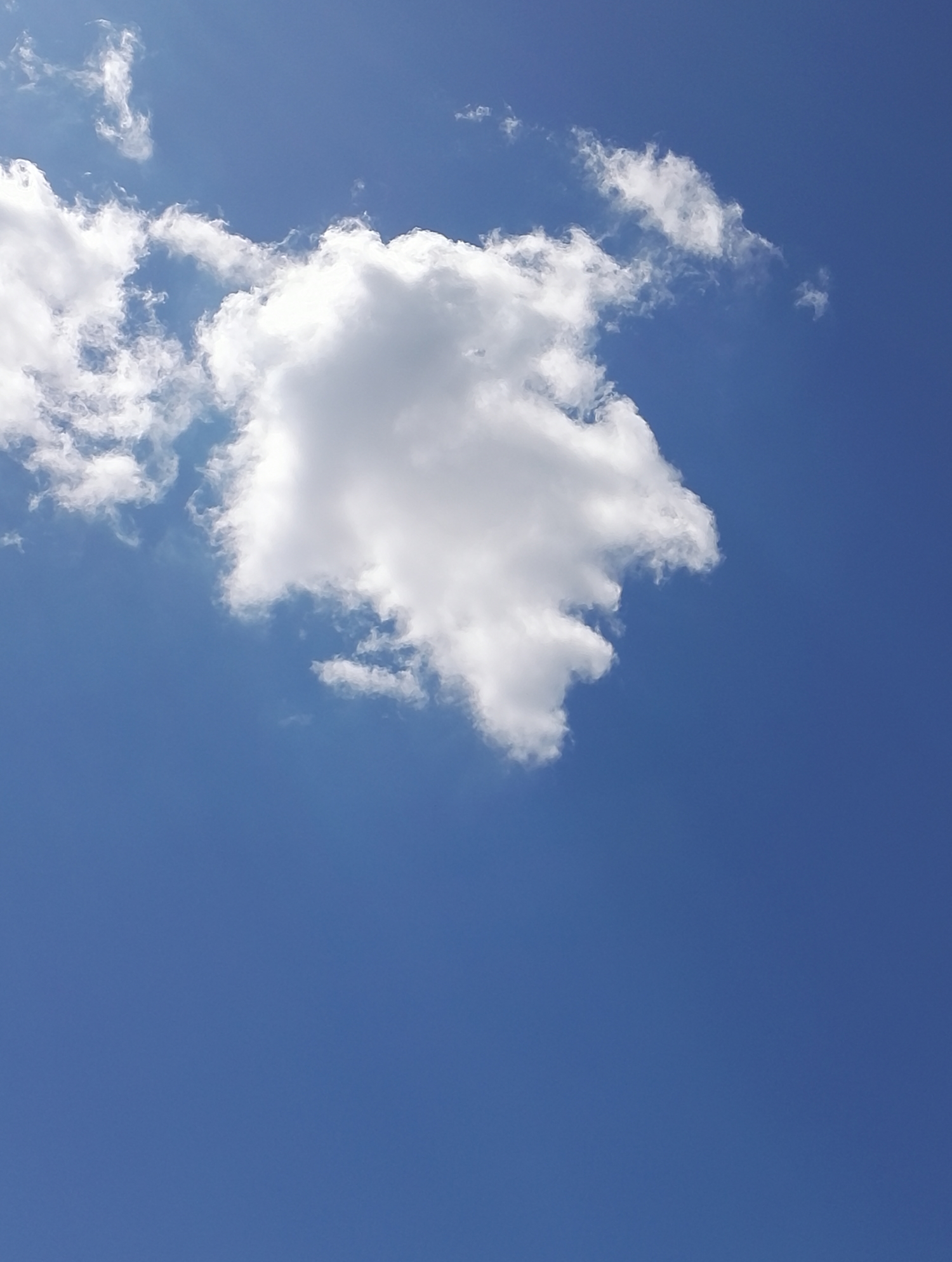 Подобно туче. Облака. На что похожи облака. Облака интересной формы. Облака форма.
