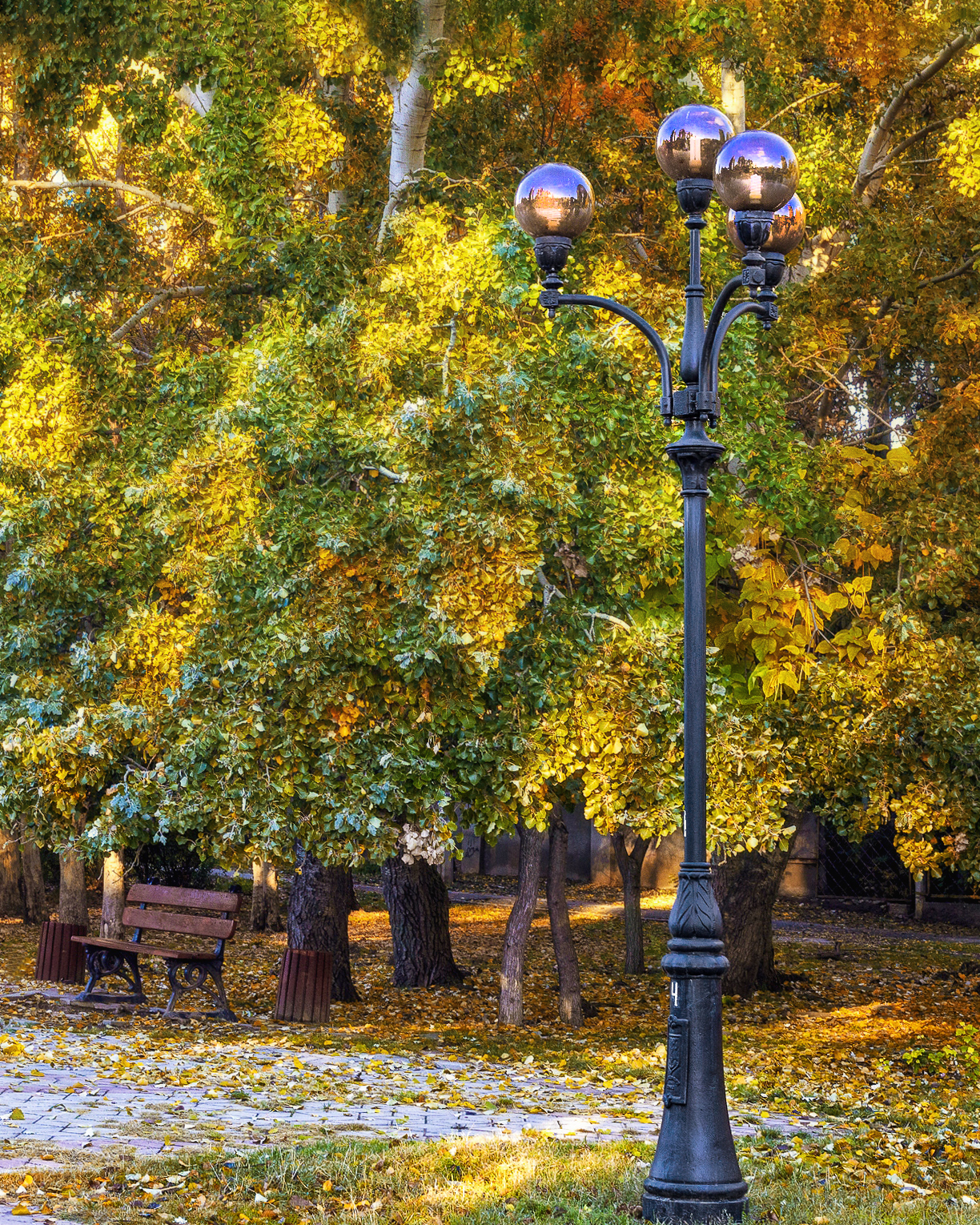 В осеннем парке