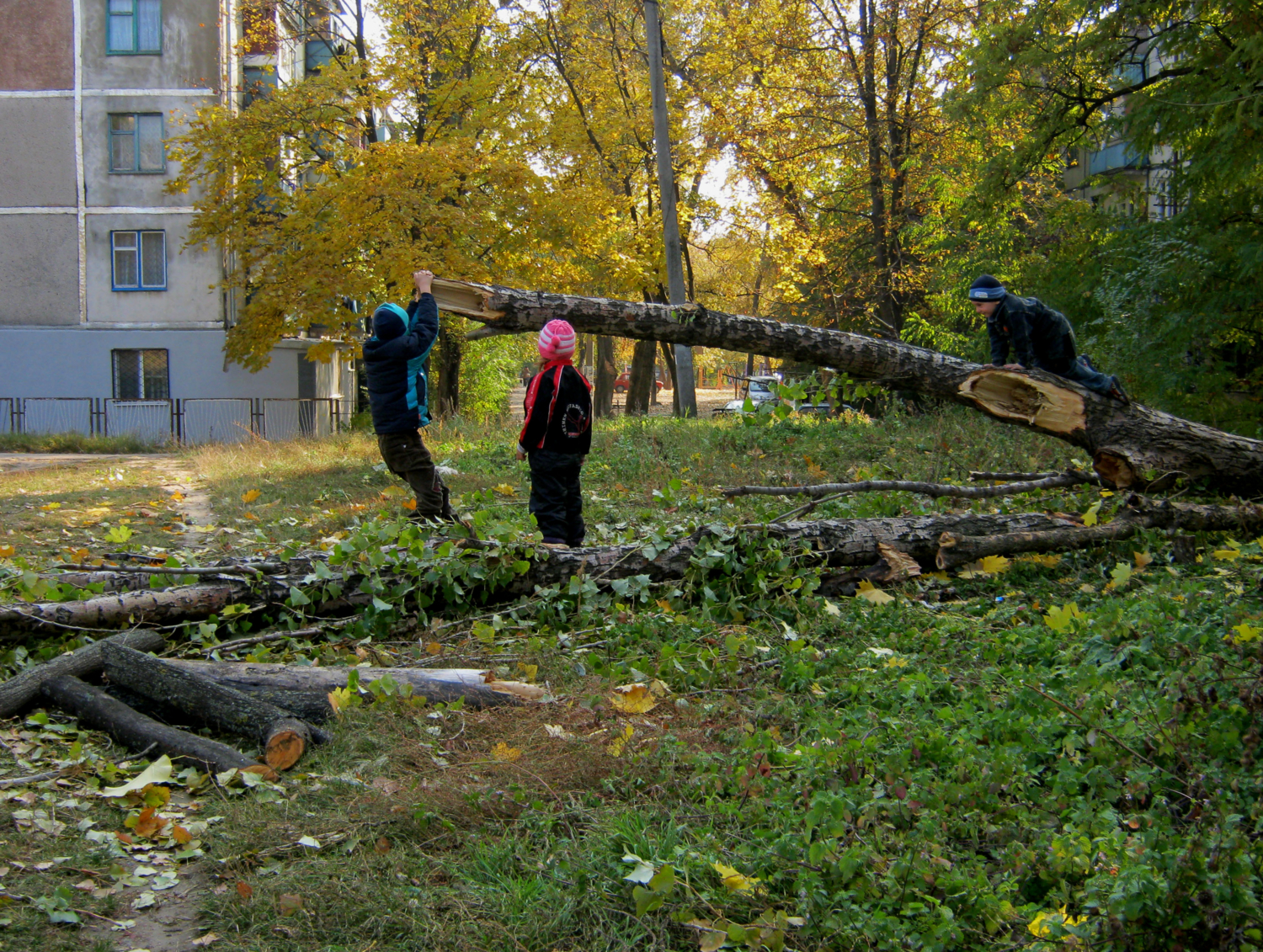 Дворовые пацаны.