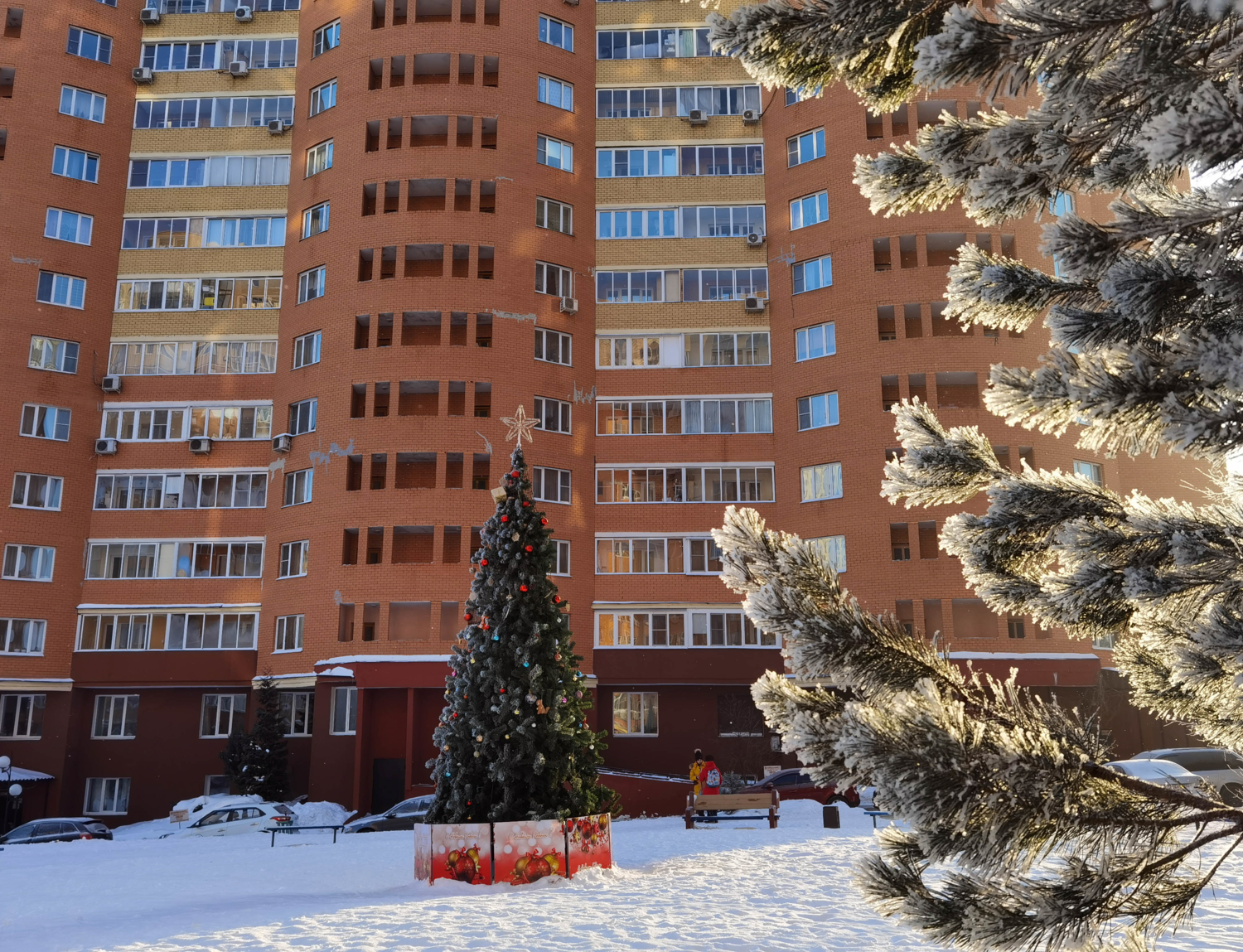 Наш предновогодний двор