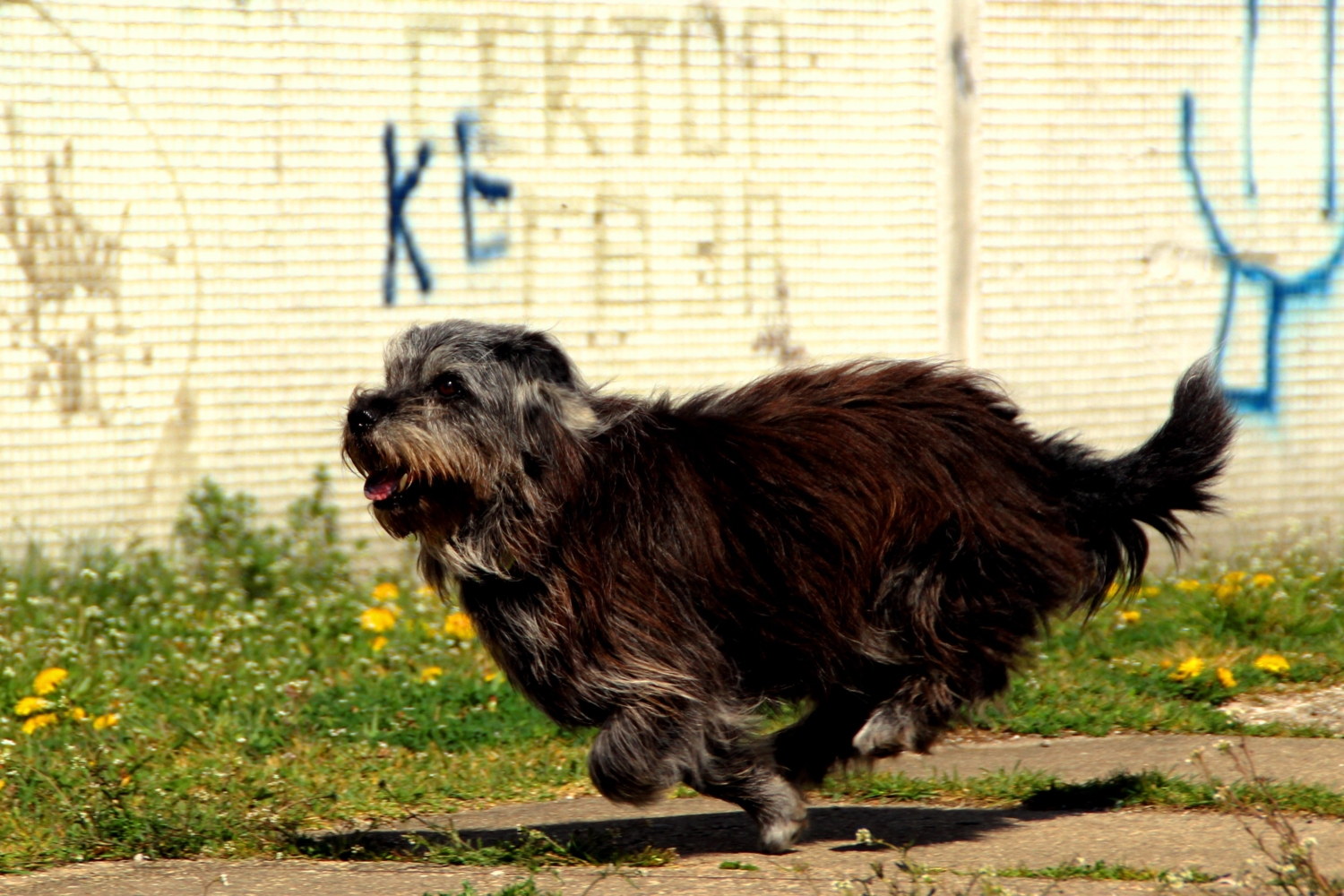 Во весь опор...