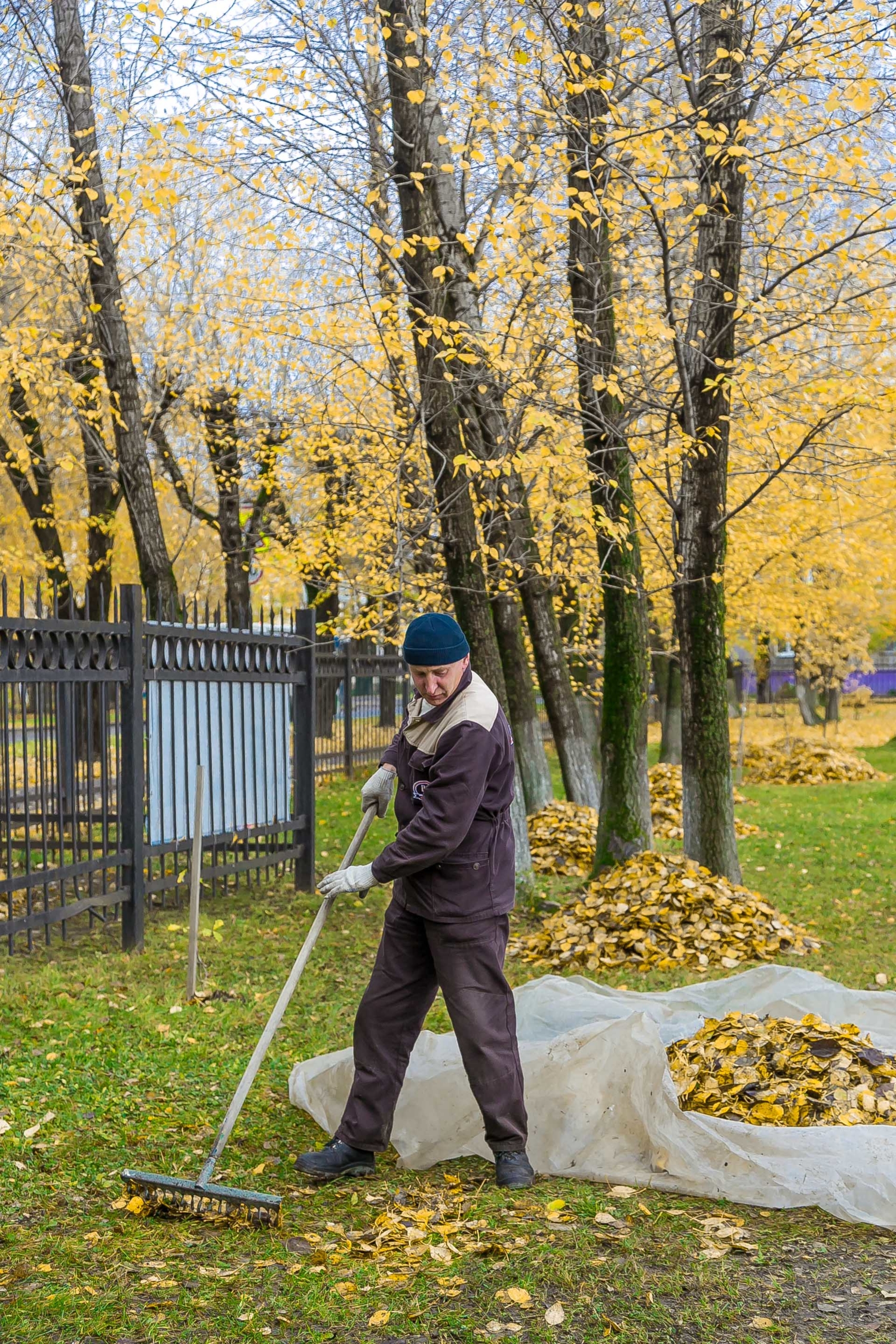 Осень - это листья...