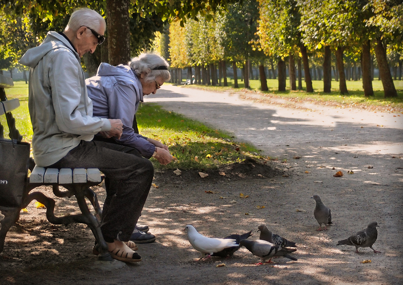 Осень жизни тиха