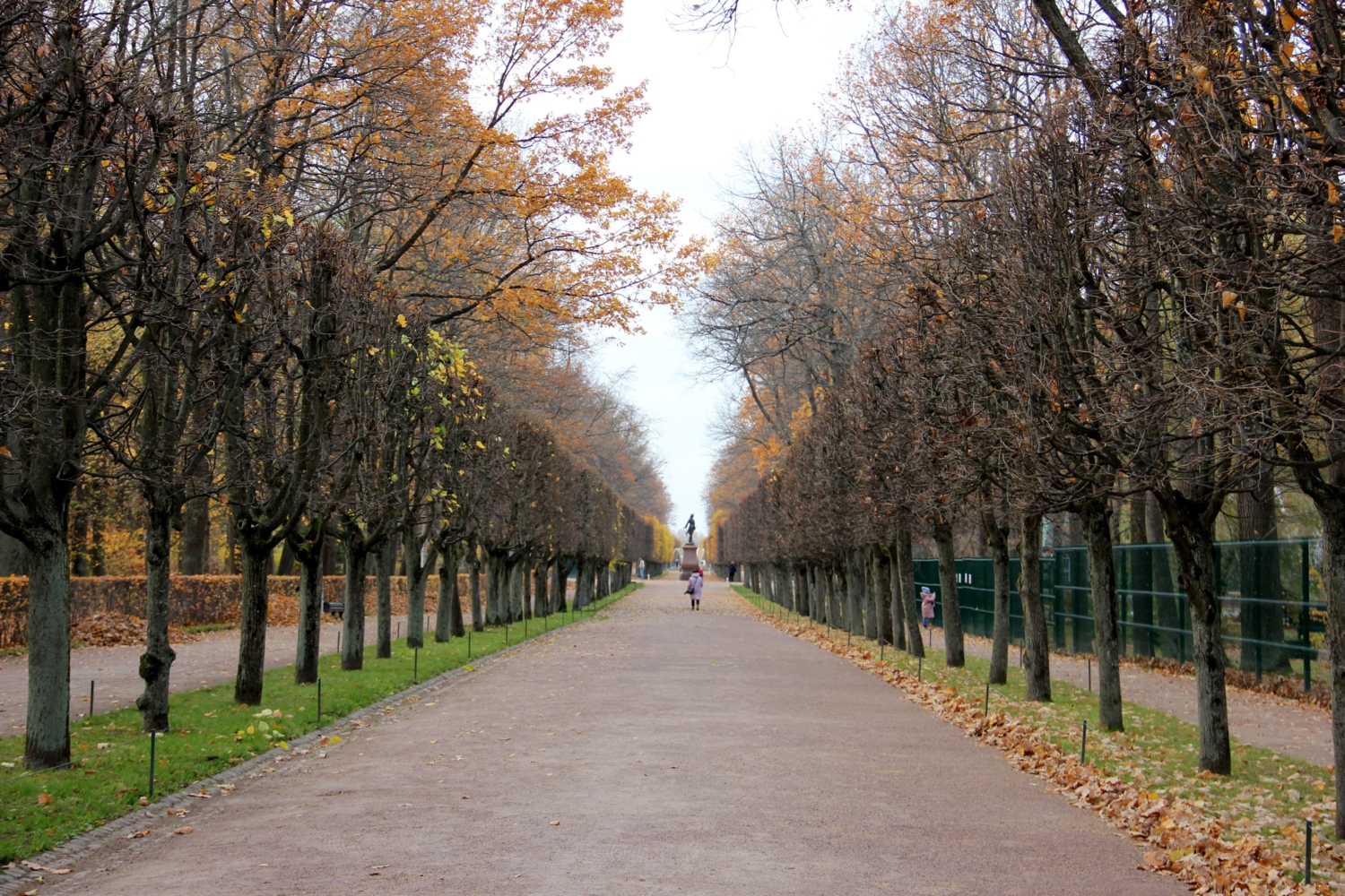 Дорогами осени