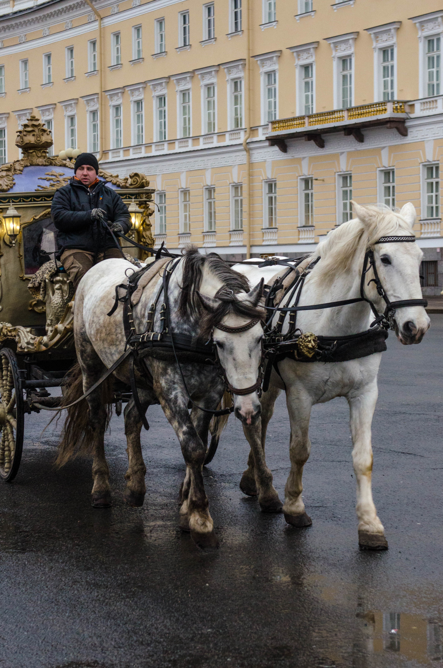 Дворцовые катания