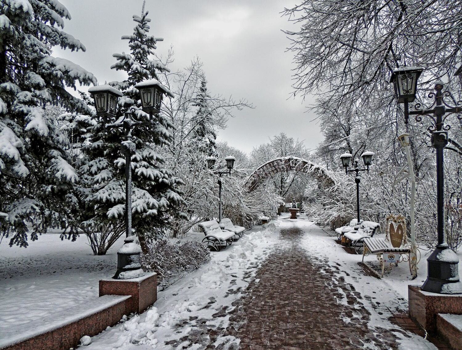 Зима в городском парке