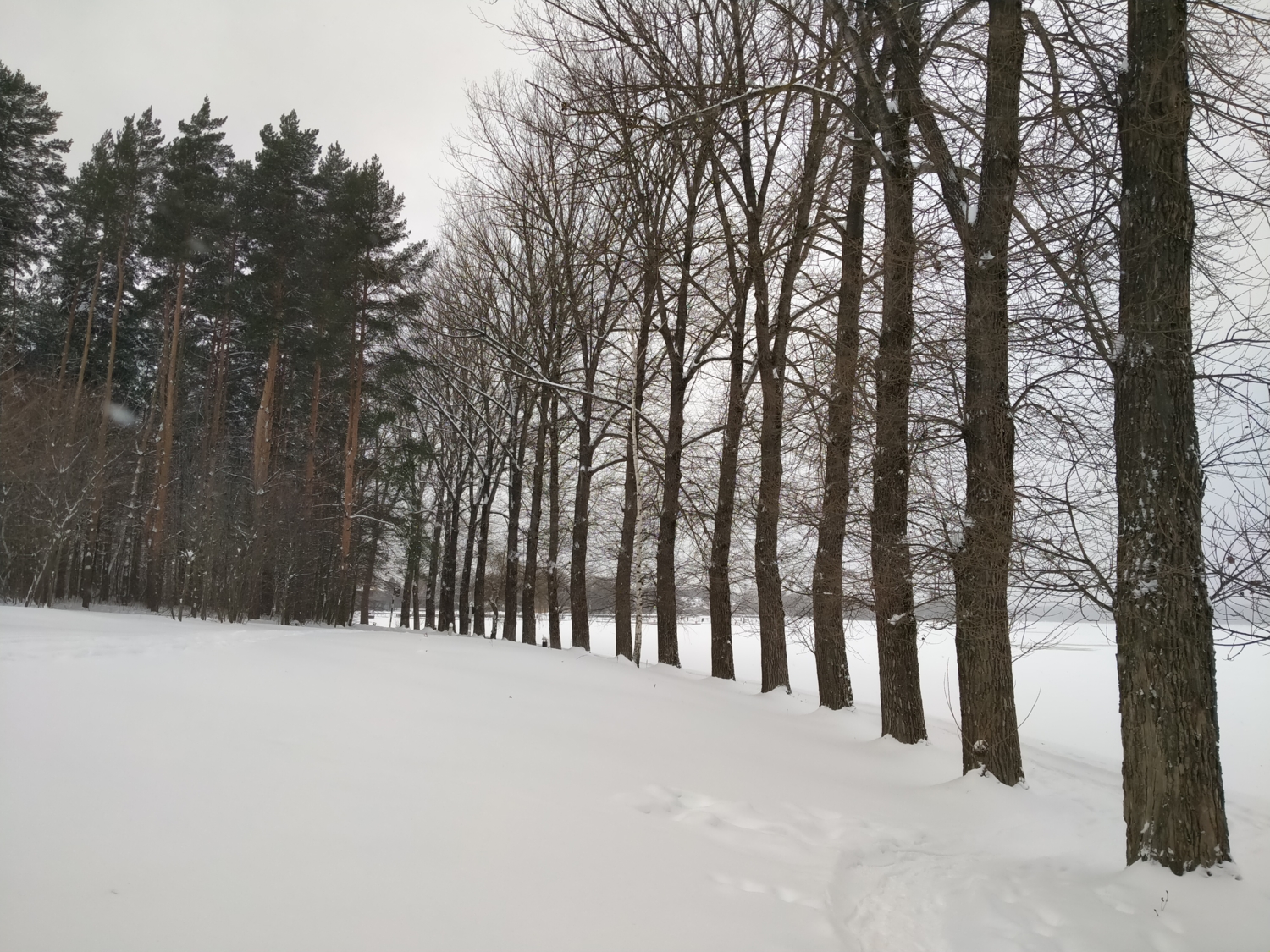 На пенсии: любуемся красотой природы