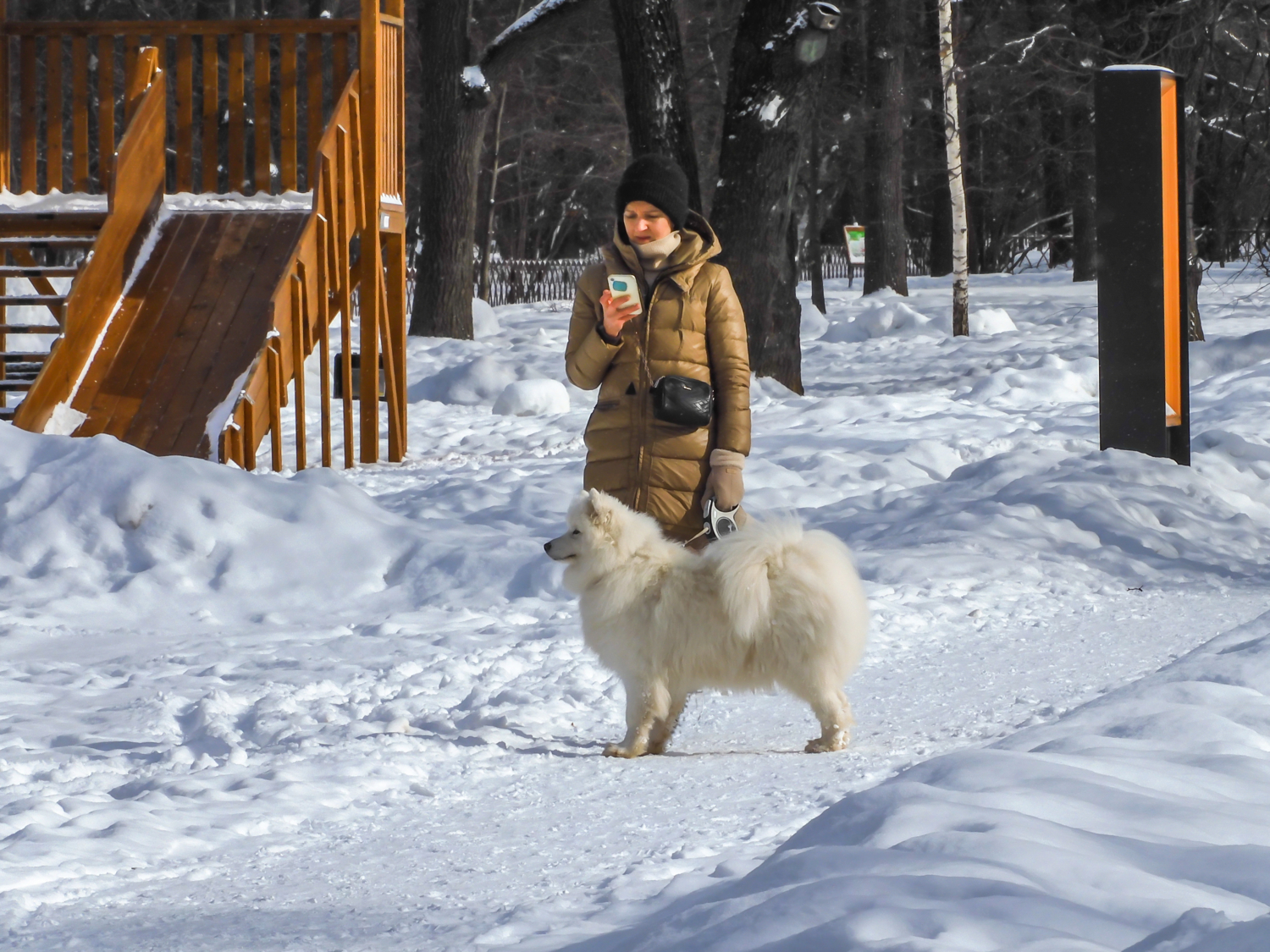 Снежок