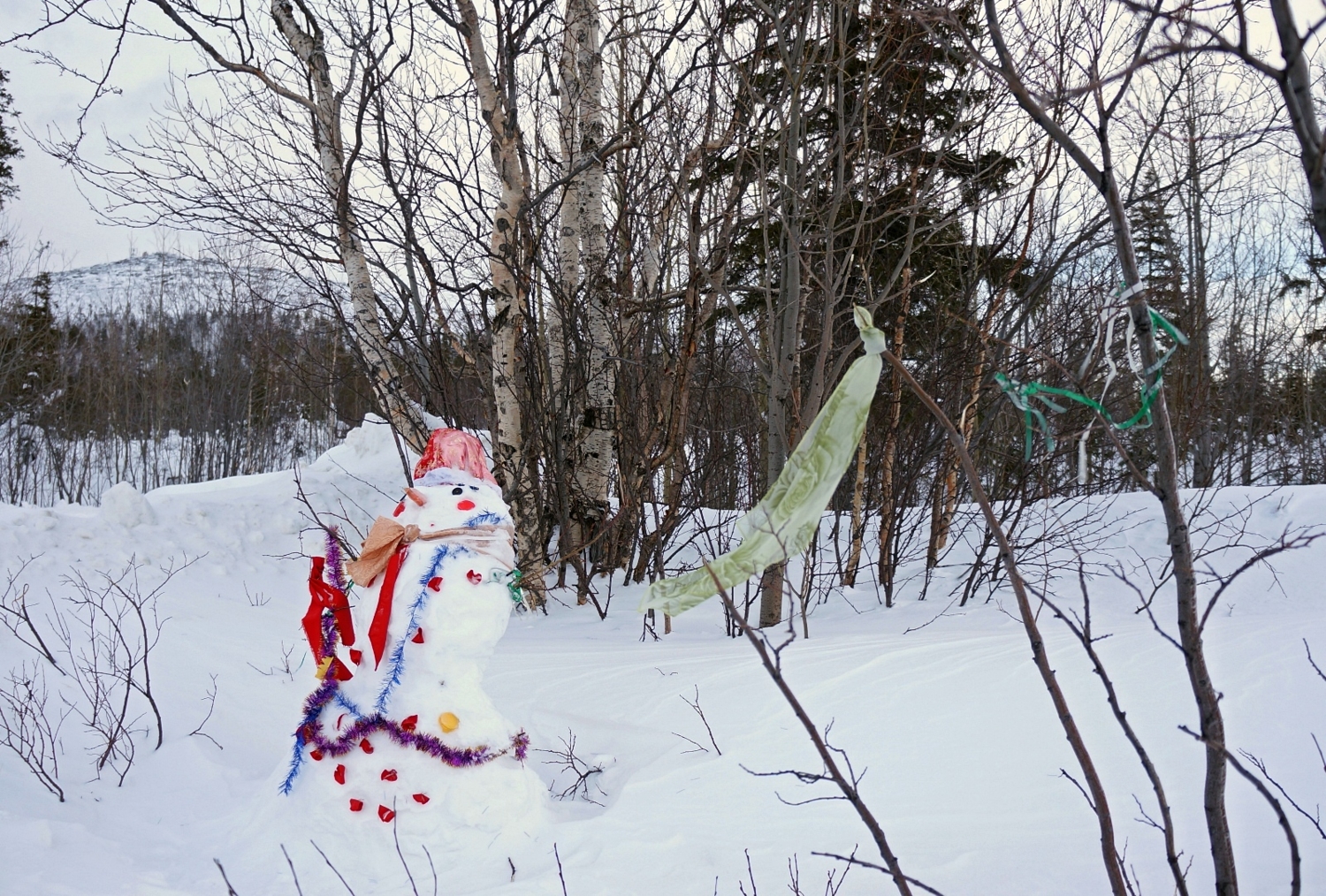 У леса на опушке жил снеговик