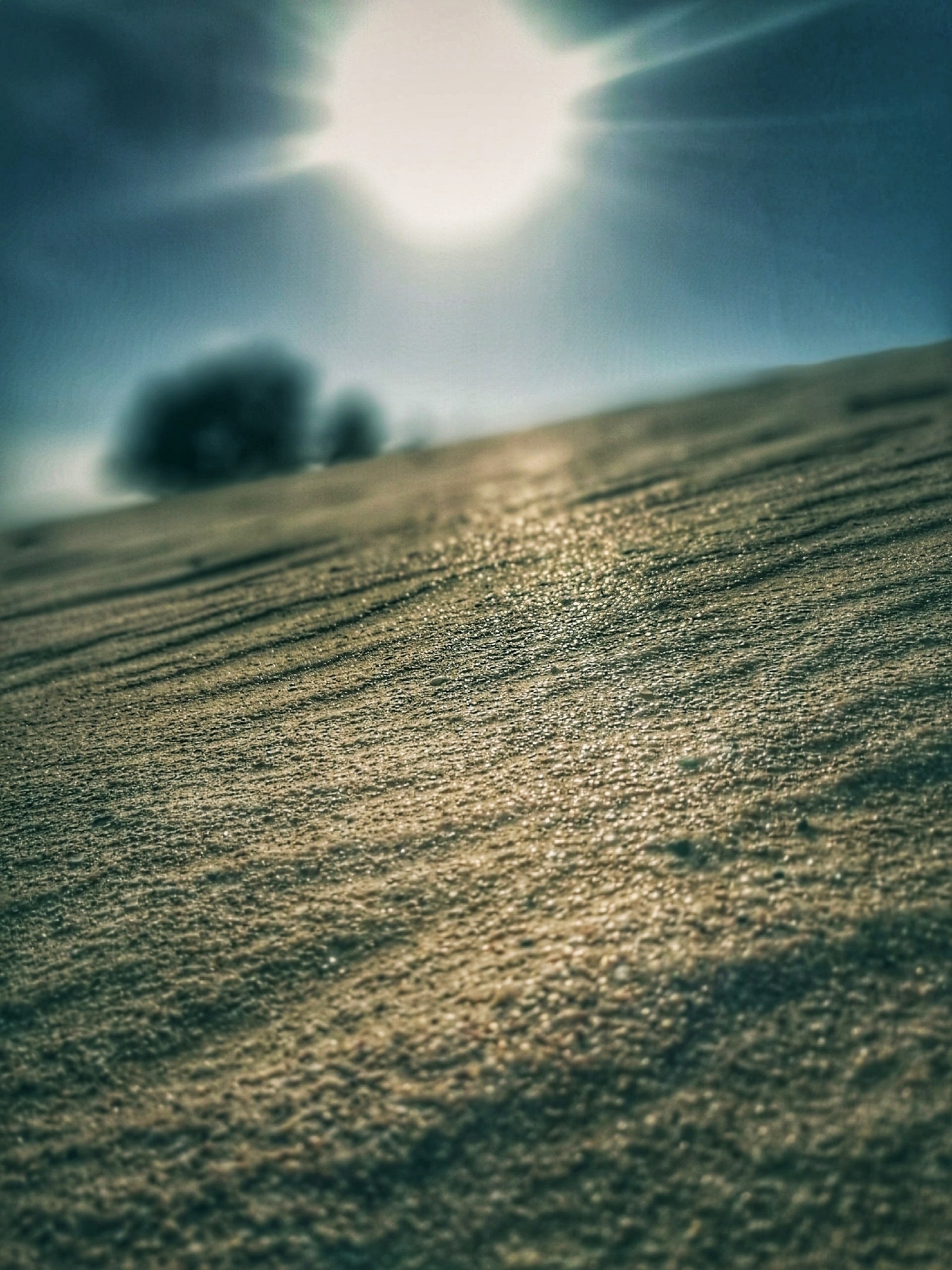 Жгучий песок
