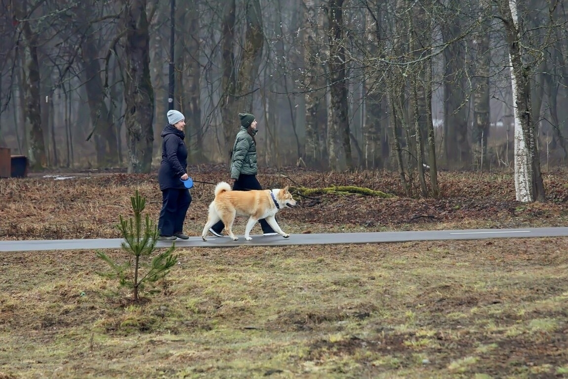 У природы нет плохой погоды