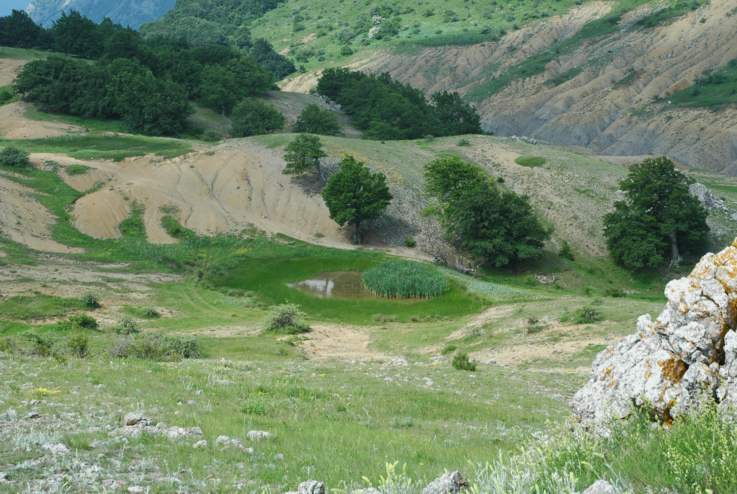 Высокогорная лужа.