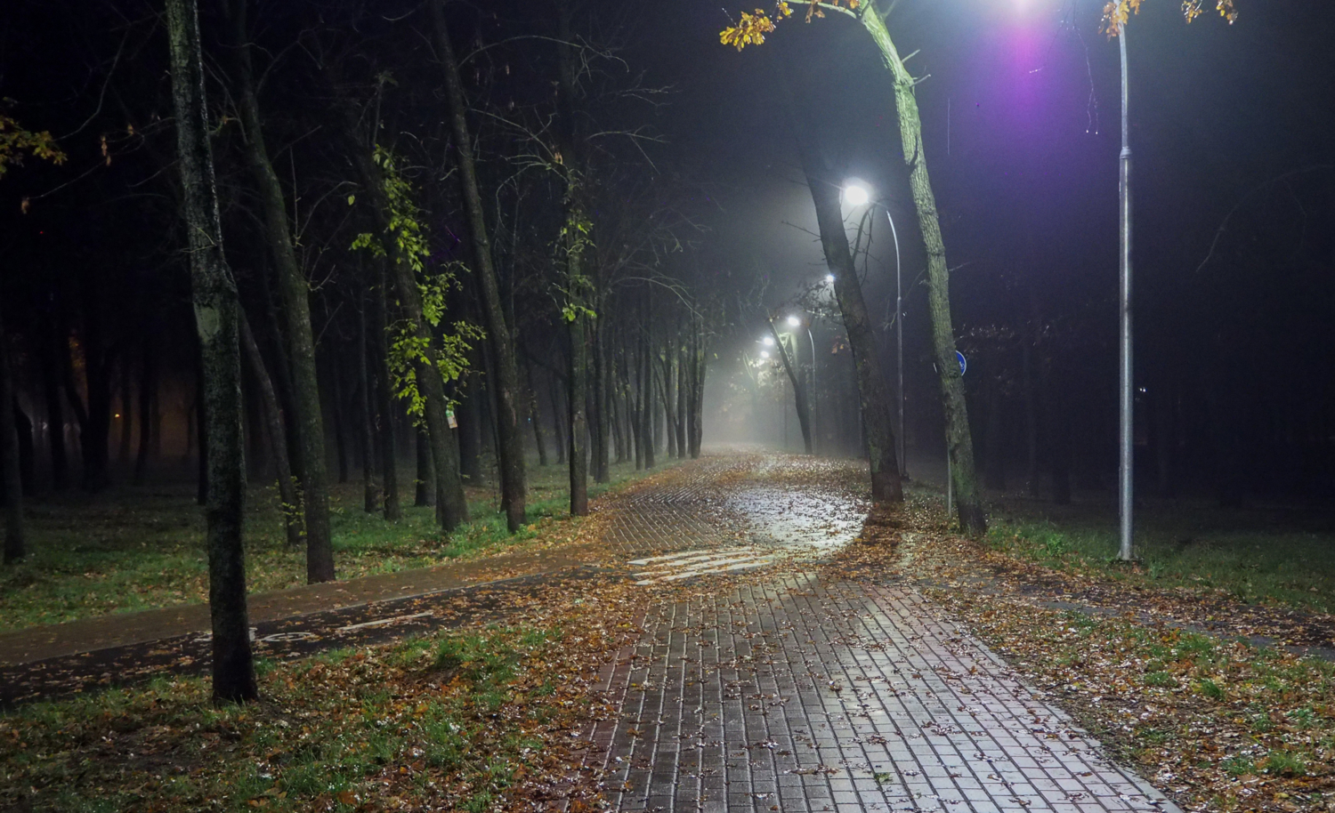 Вечерний парк