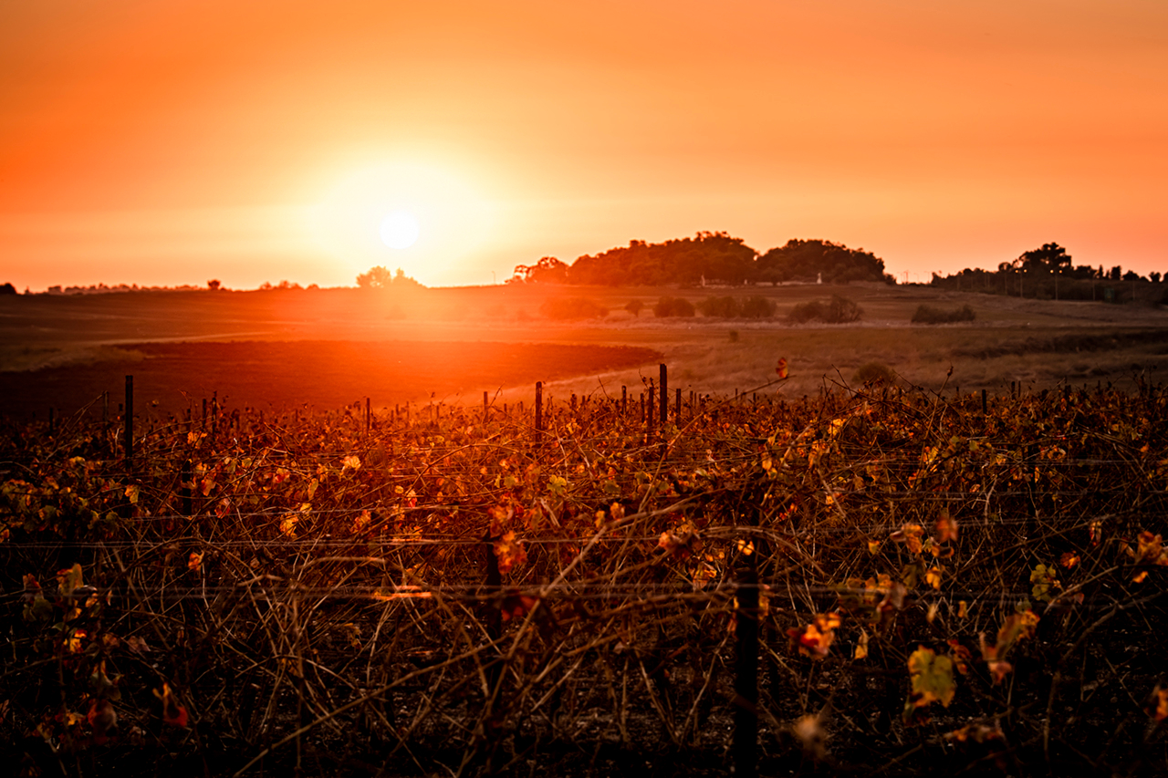 Красный закат