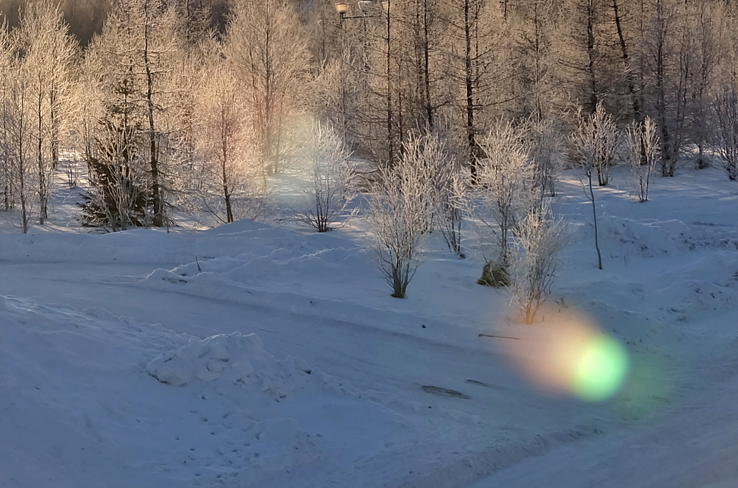 Не линяет только солнечный зайчик