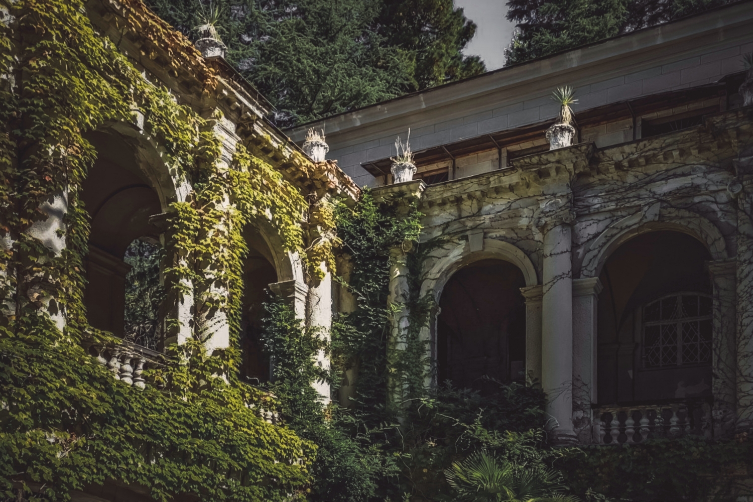 Санаторий им С. Орджоникидзе в Сочи.