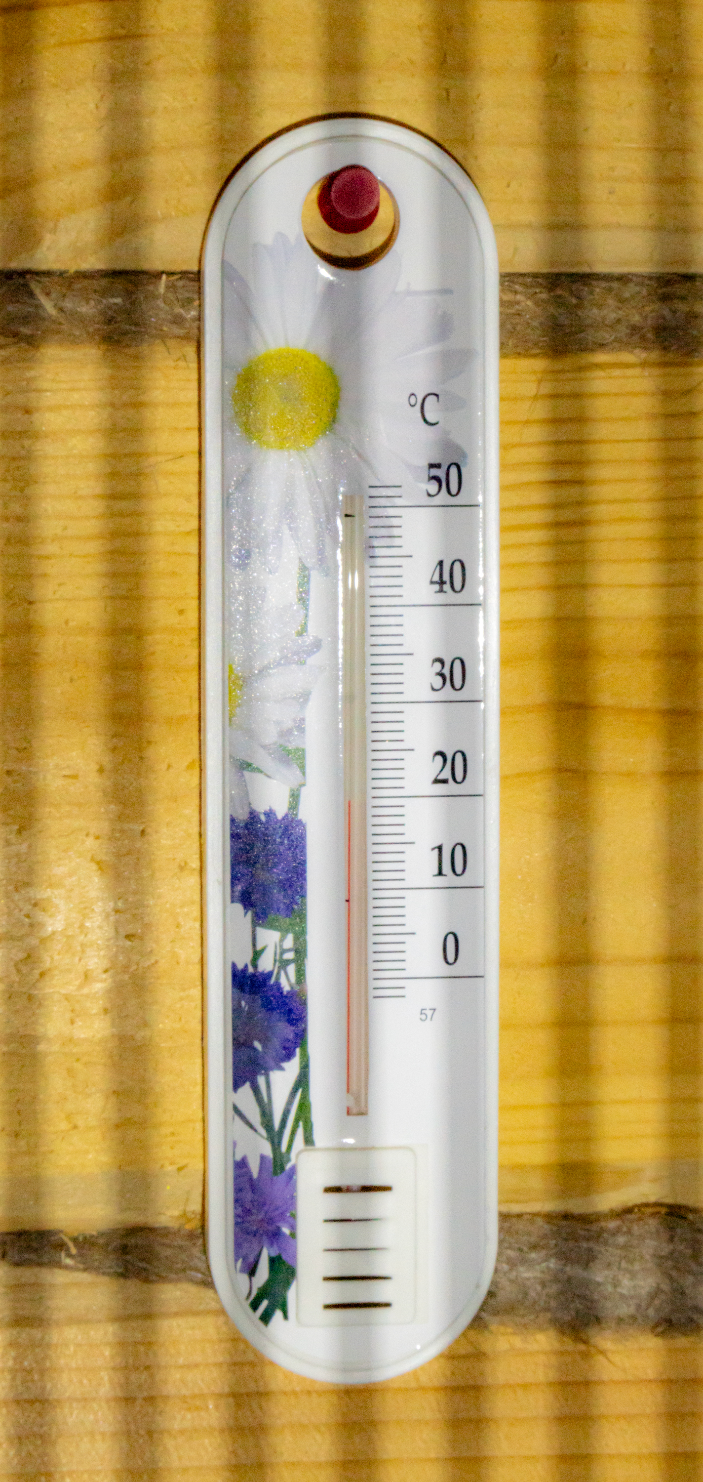 Погода в доме.