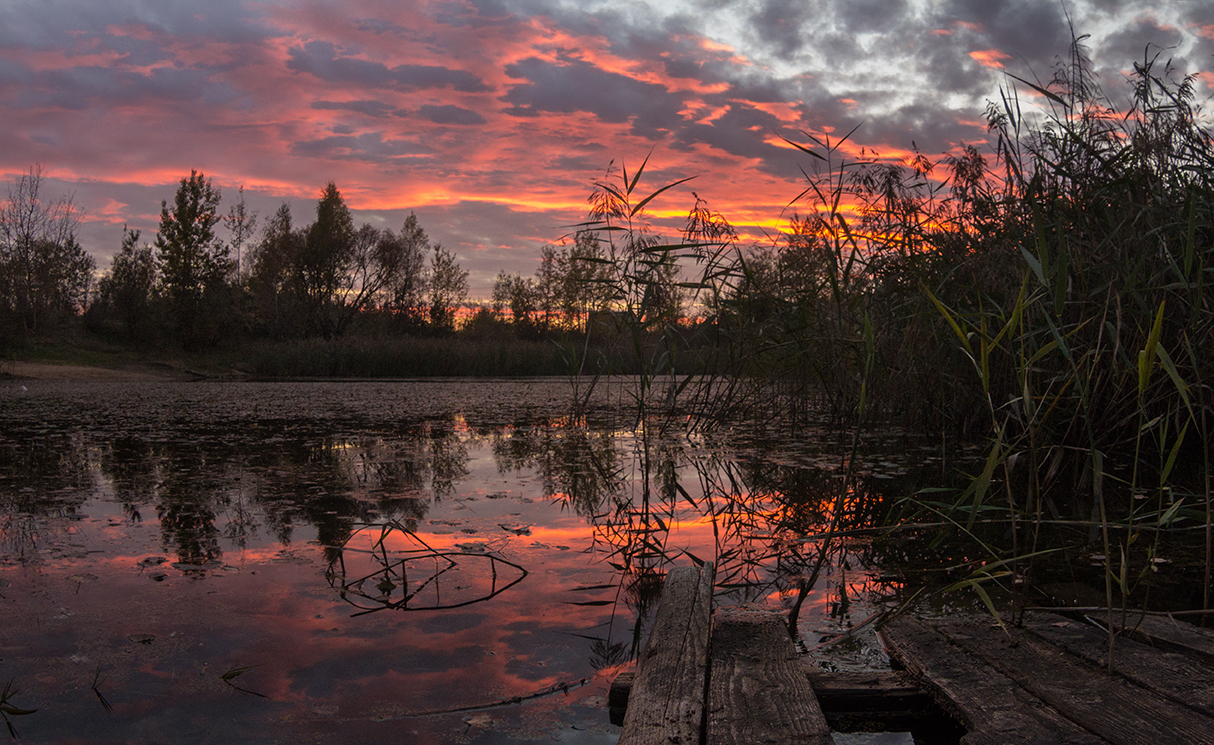 Багряный закат