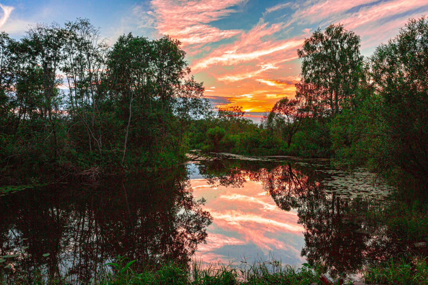 Моя дачная речка