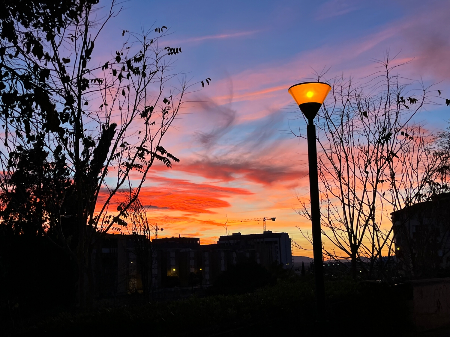 Мечты фонаря