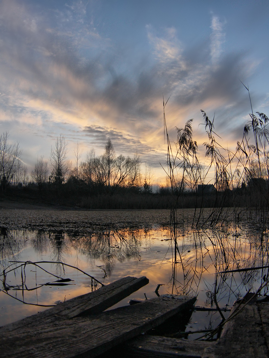Закат на заросшем пруду
